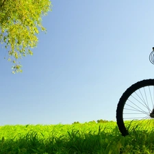 Meadow, Bike
