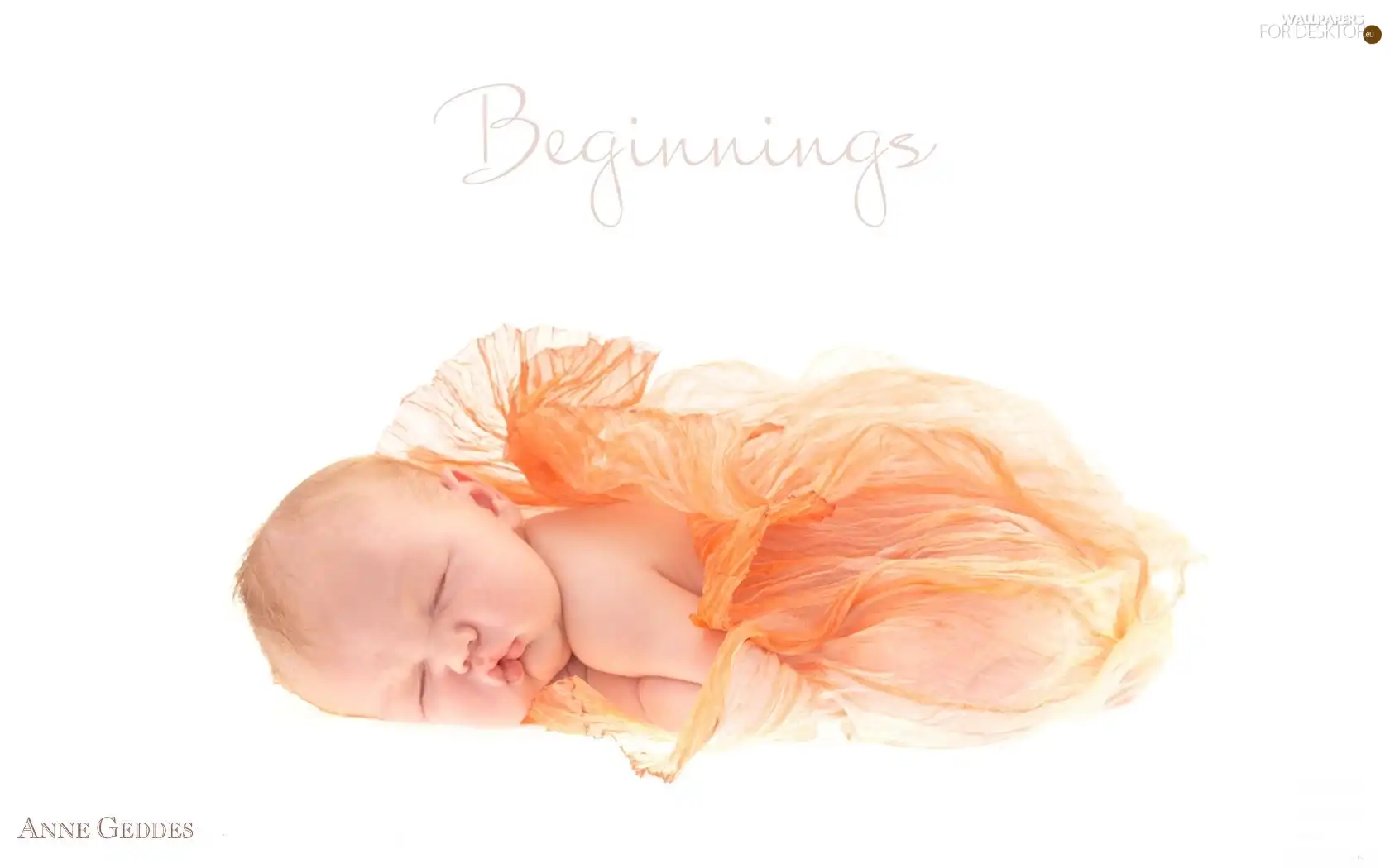 photos, Anne Geddes, little thing, authoress, Sleeping