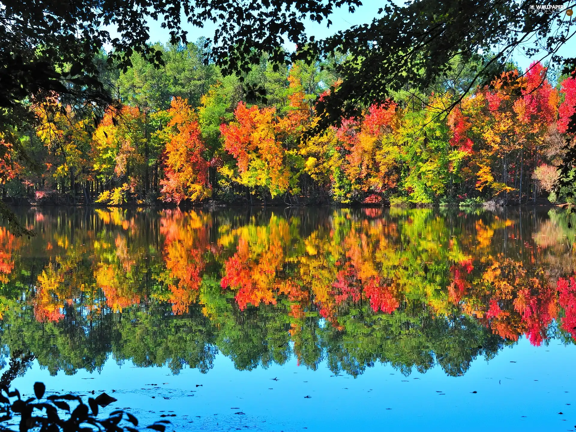 Autumn, forest, trees, viewes, lake