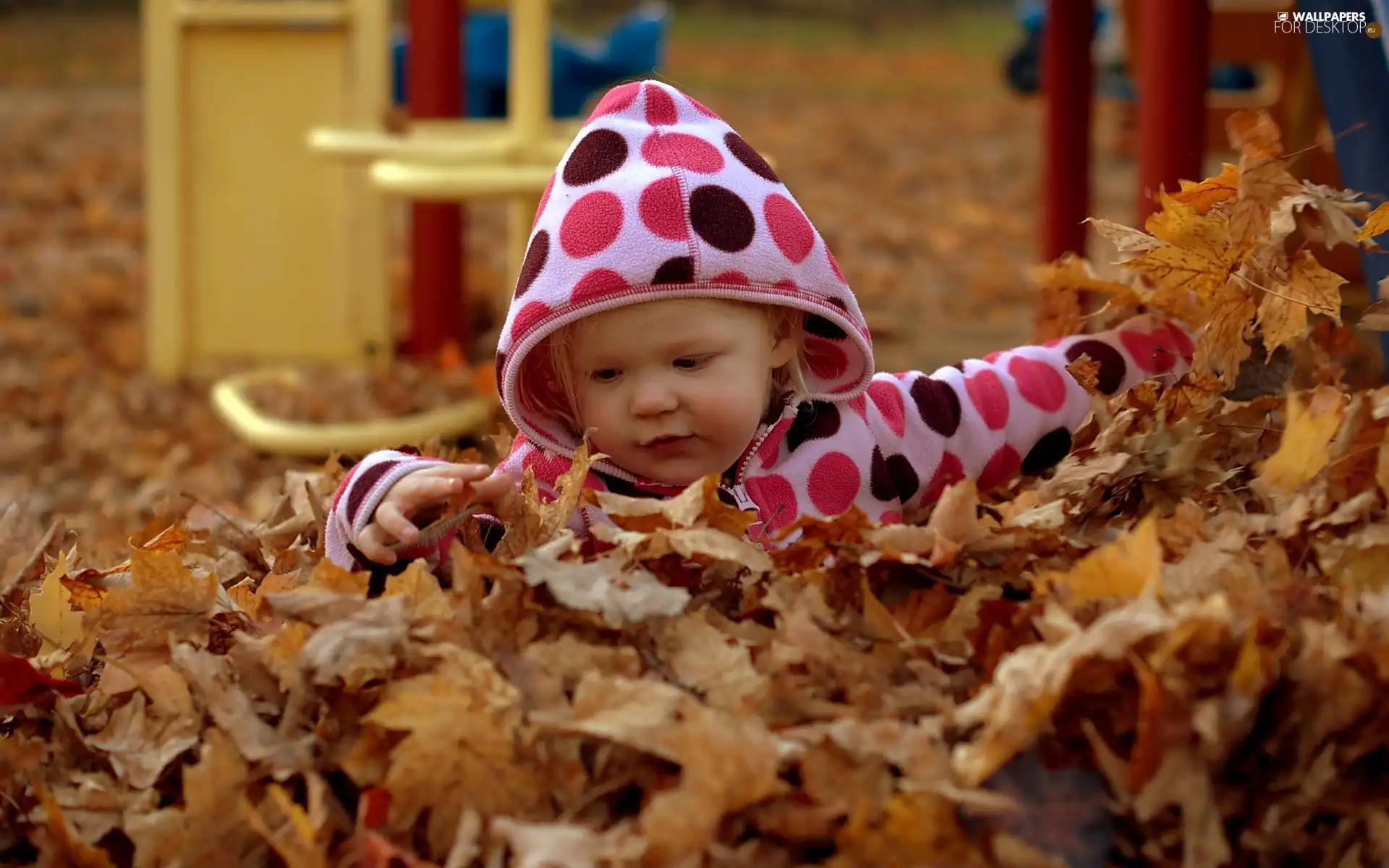 autumn, girl, Leaf