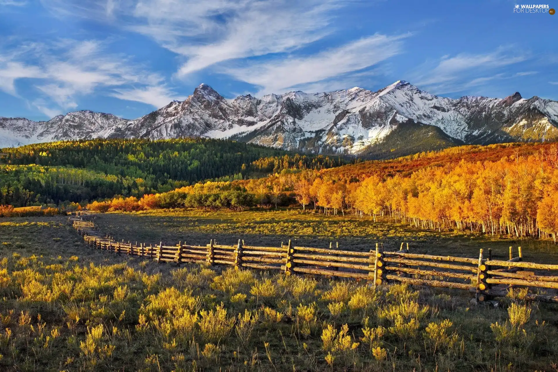 autumn, Mountains, woods