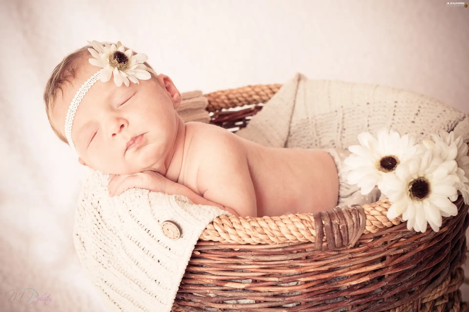 small, Flowers, basket, girl