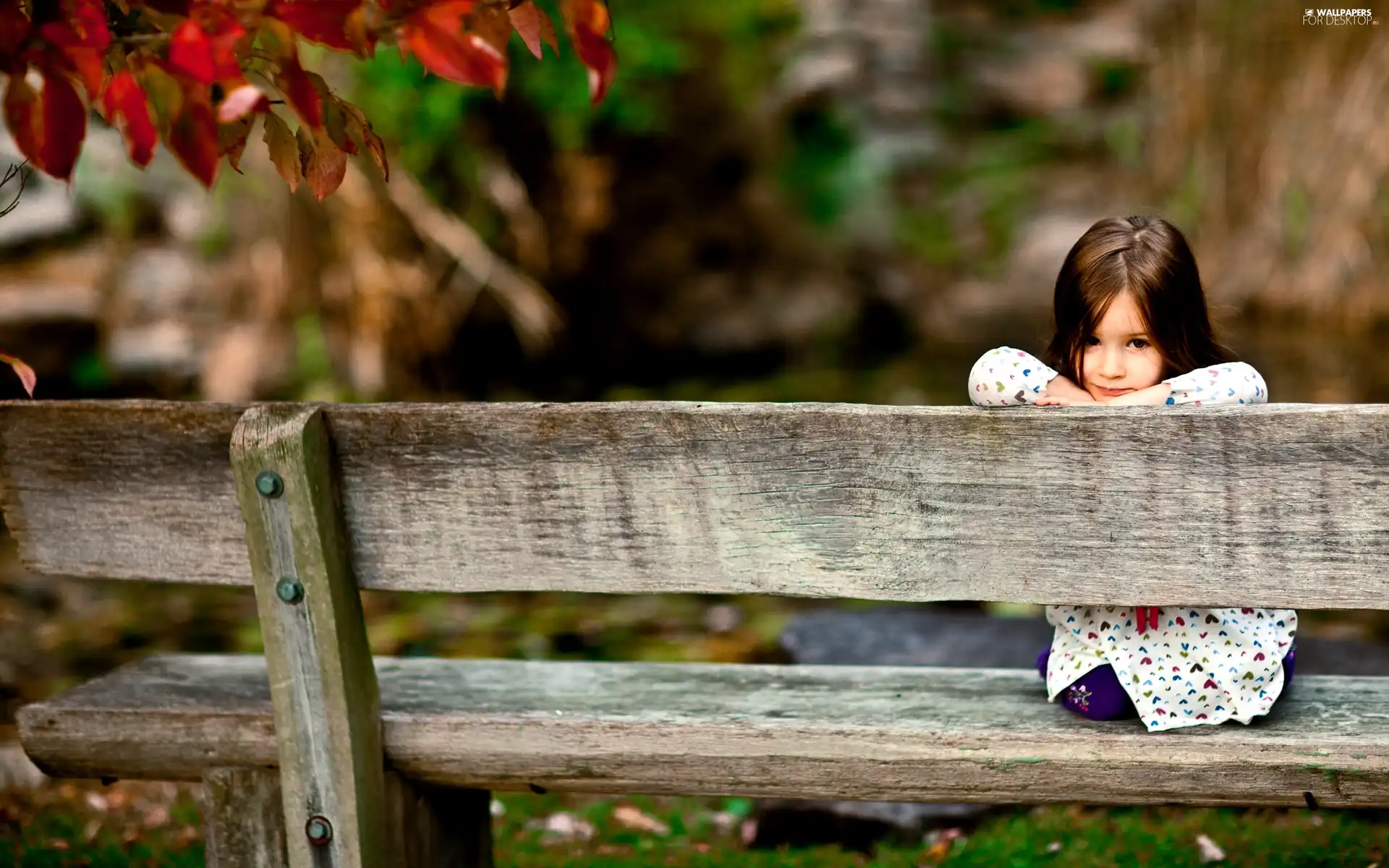 girl, Bench