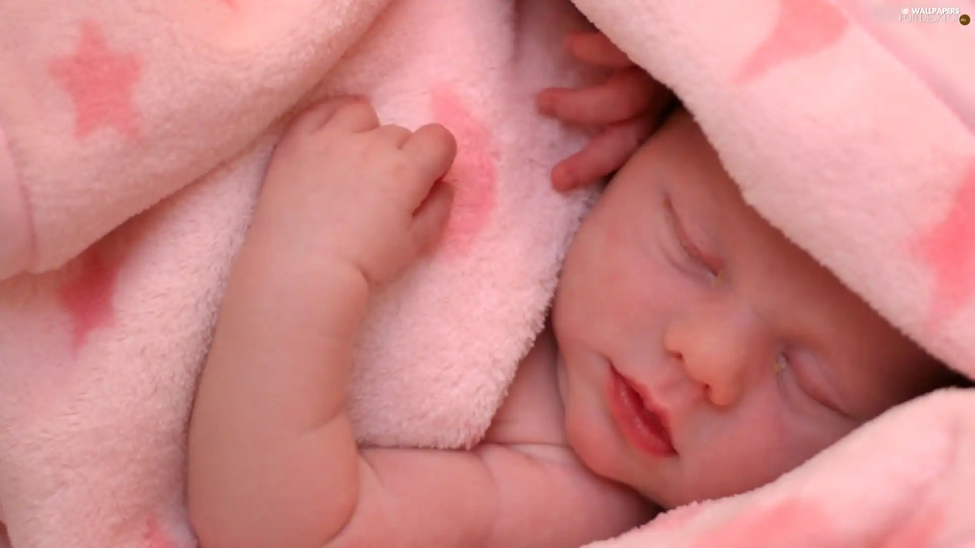Sleeping, Pink, Blanket, little thing