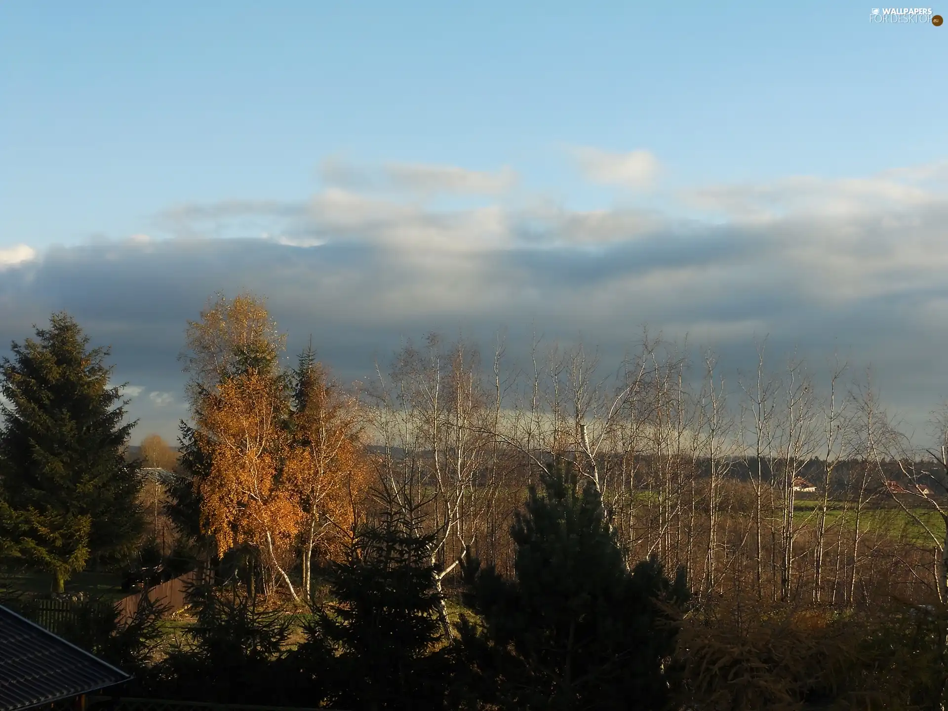 blue, Sky, viewes, autumn, trees