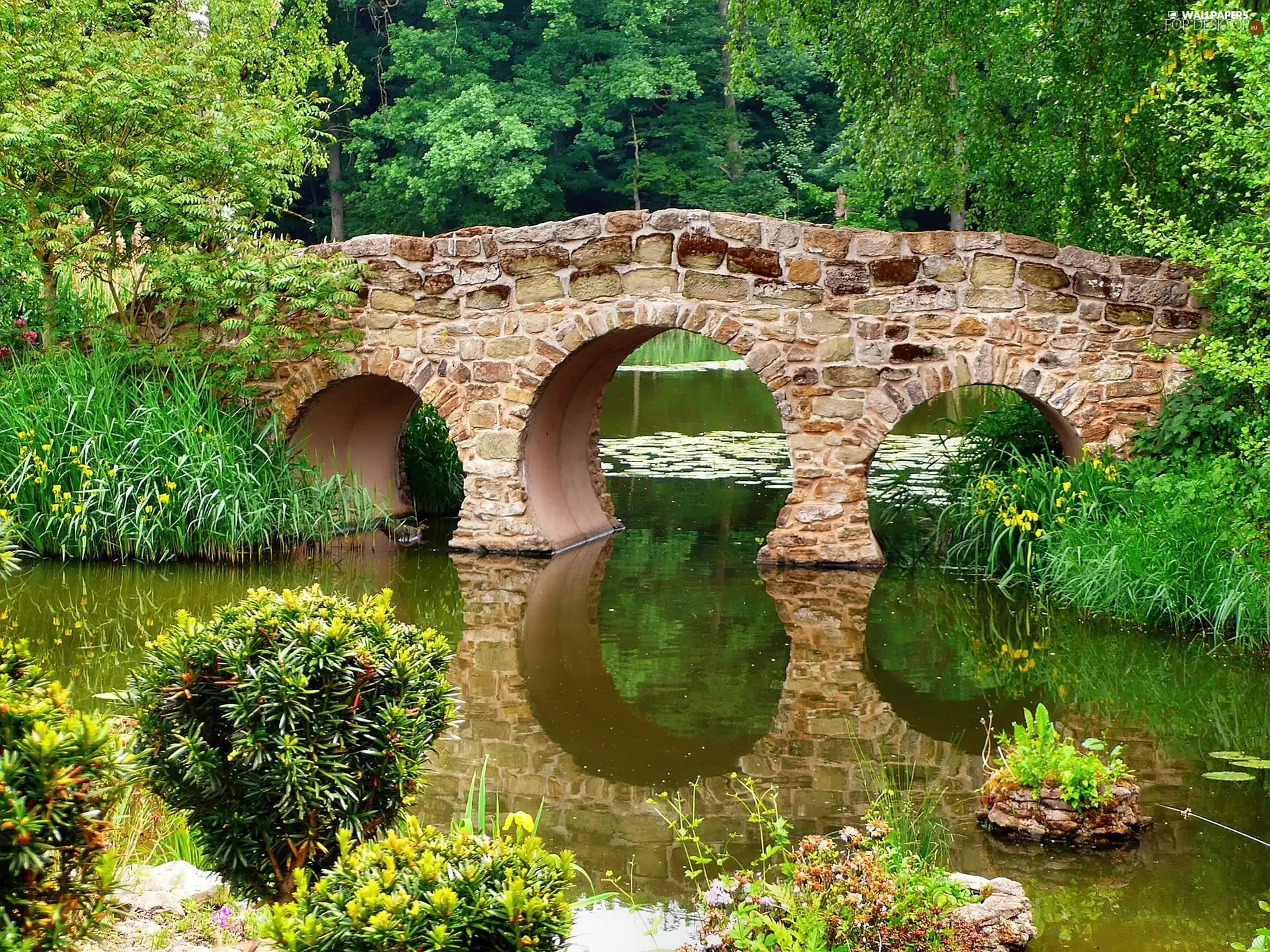 Park, stone, bridge, River