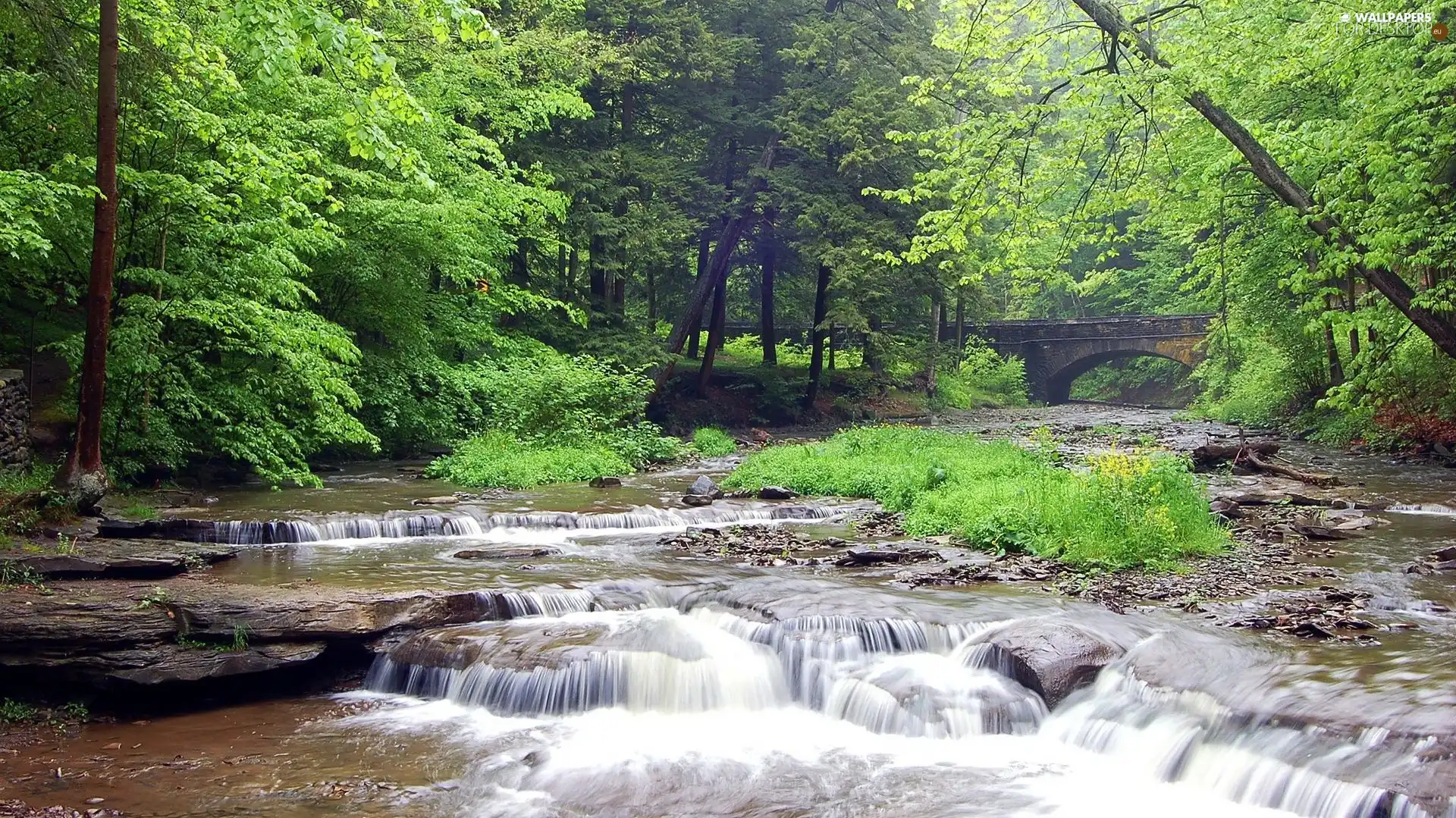 River, stone, bridges, forest