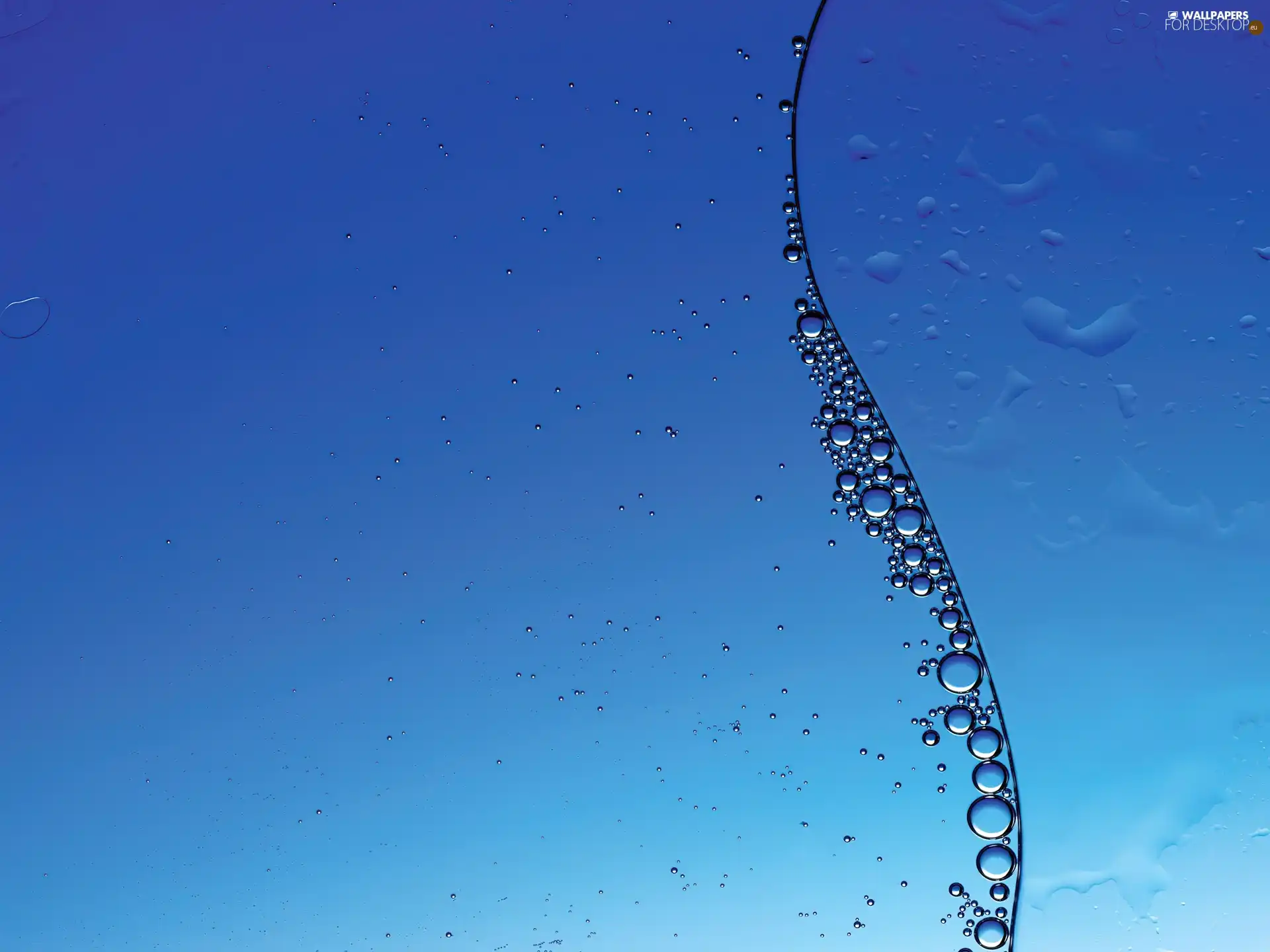 water, bubbles