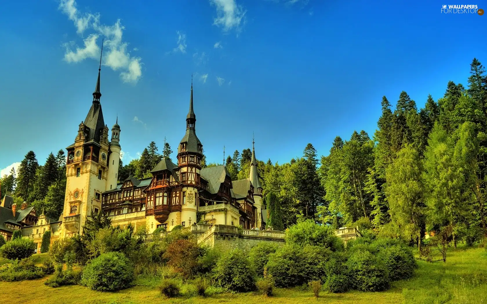 green ones, blue, trees, Sky, Castle, Bush, viewes