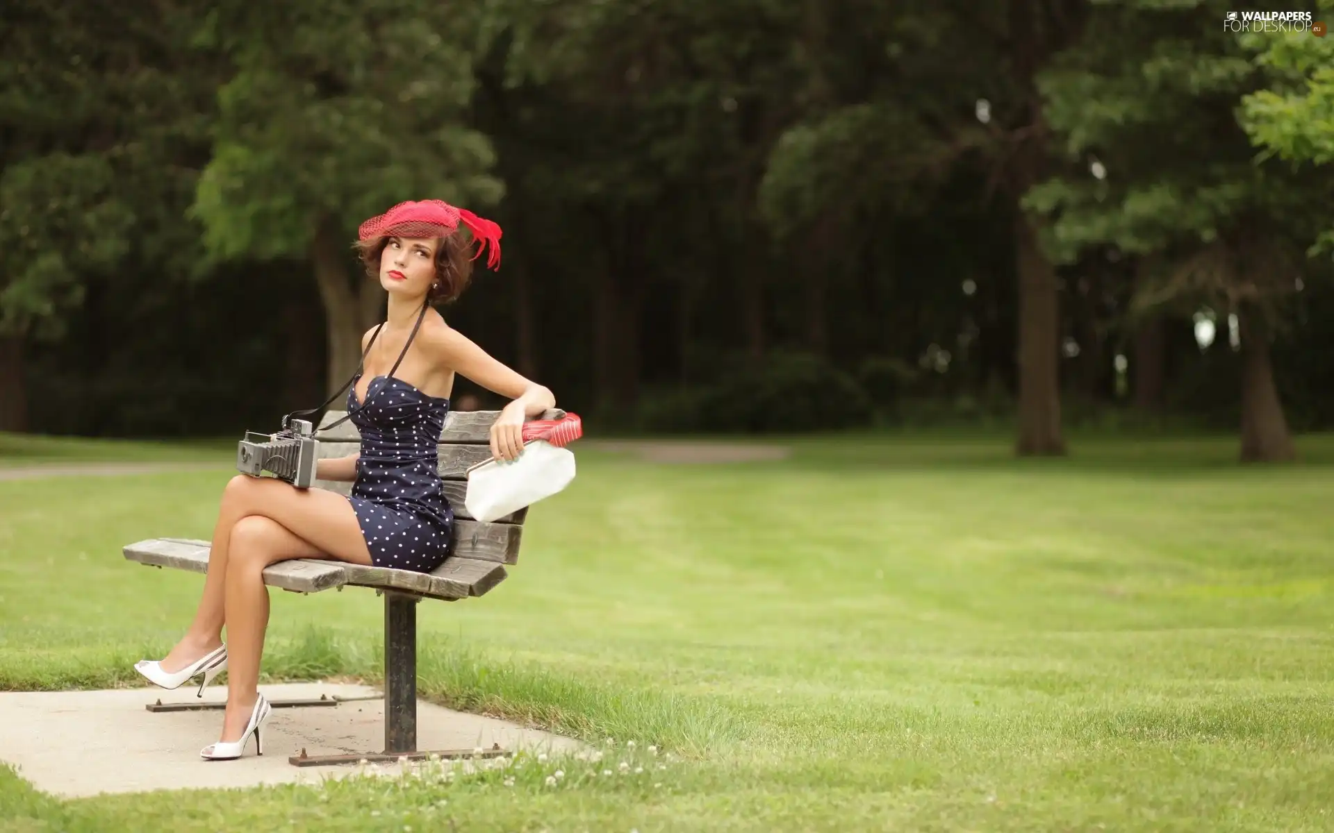 Camera, girl, Bench