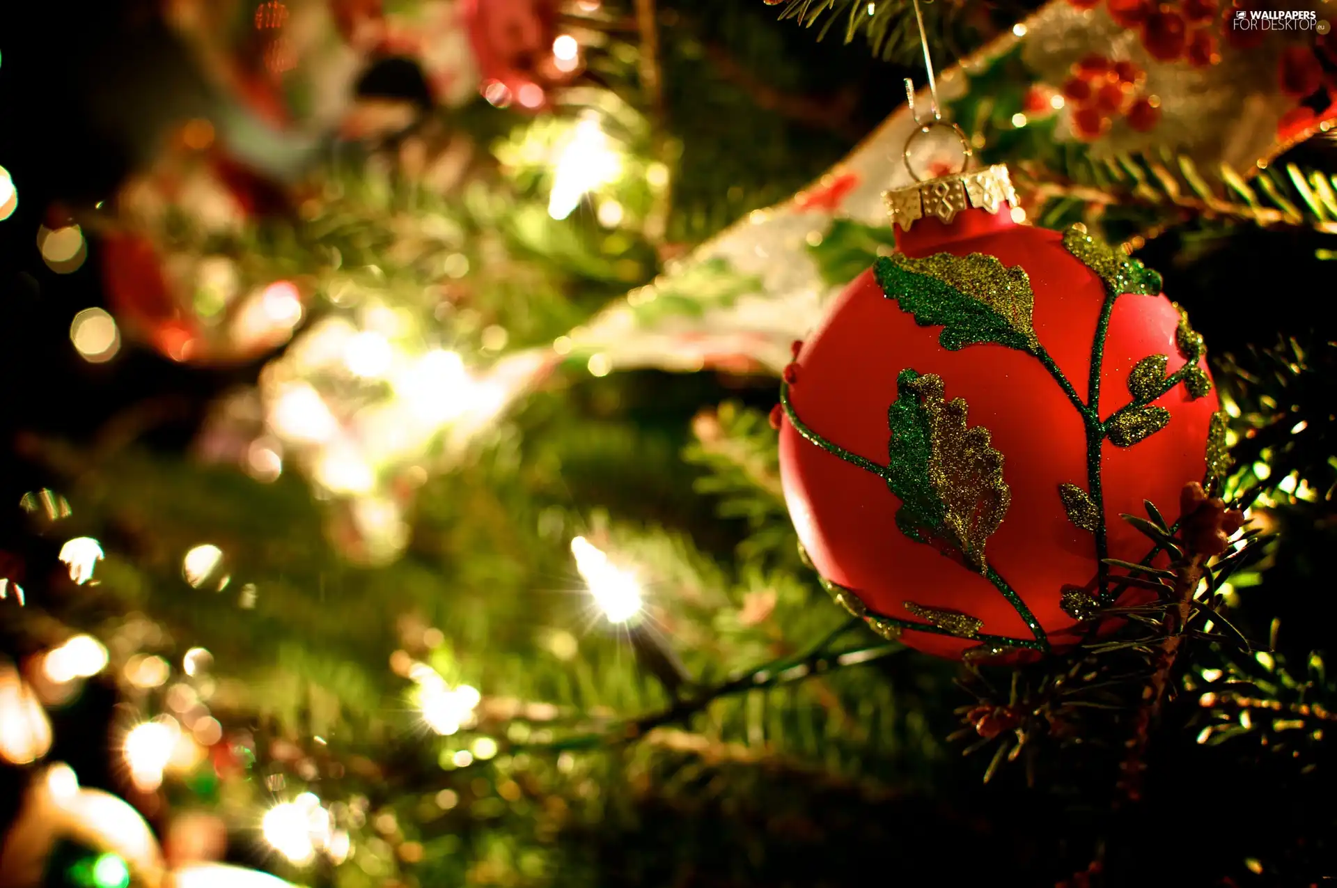 Lights, ornamentation, christmas tree