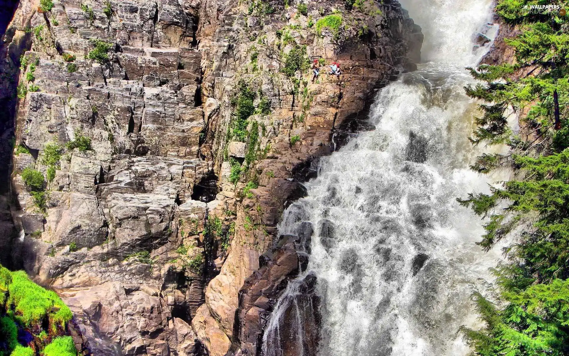 waterfall, trees, climbers, rocks