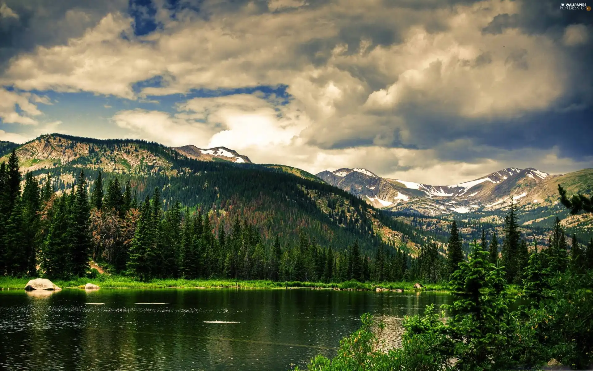 Mountains, Spruces, clouds, lake