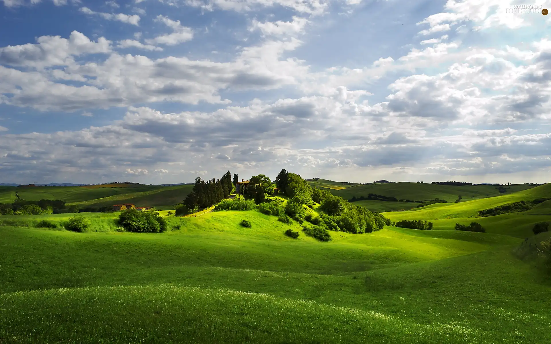 green ones, White, clouds, medows