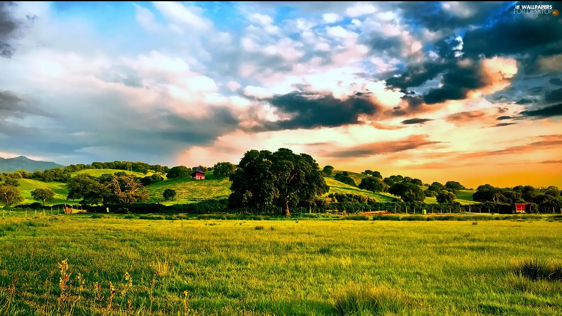 Clouds, Sky, trees, viewes, Meadow