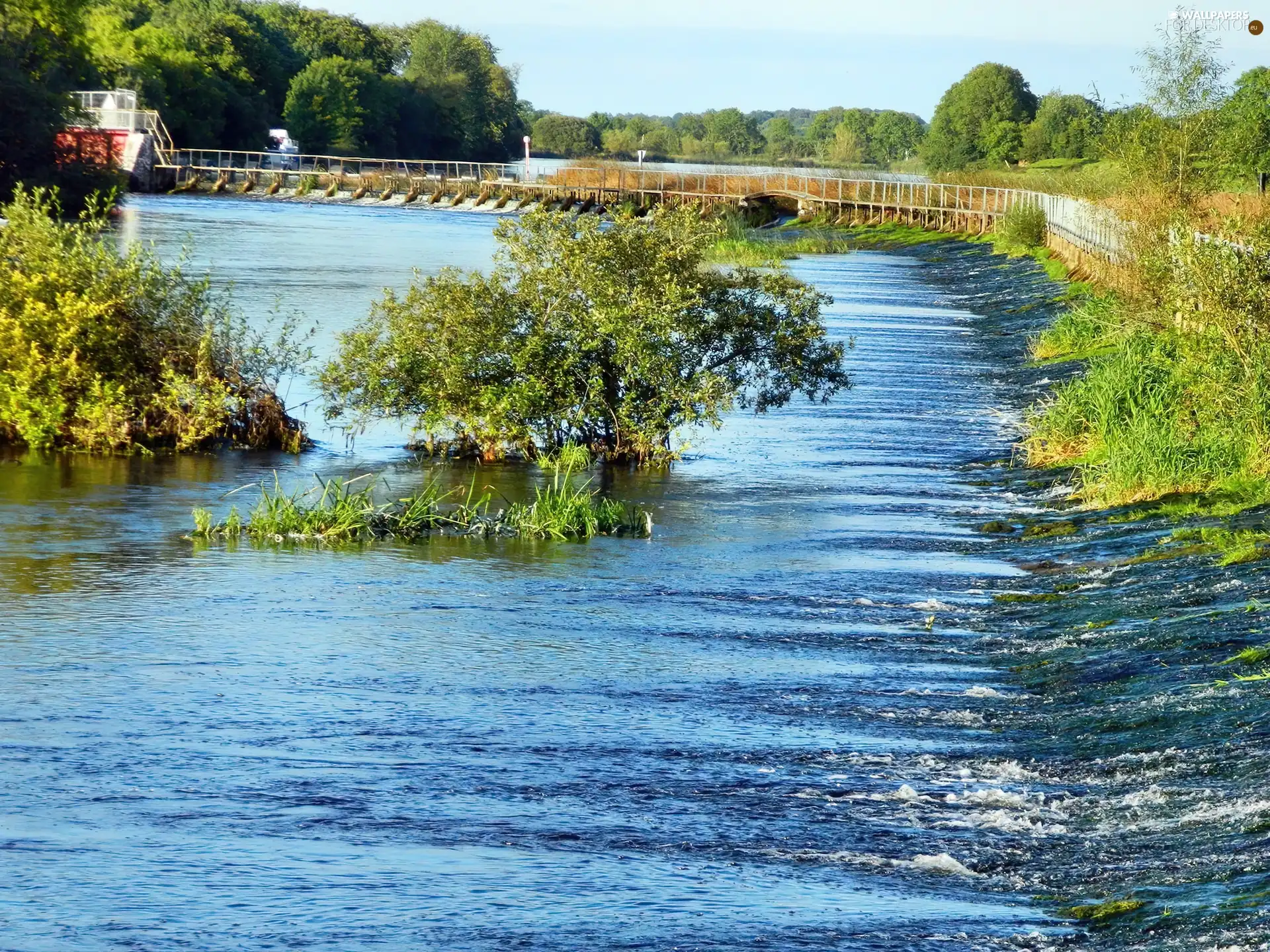 coast, footbridge, trees, viewes, River