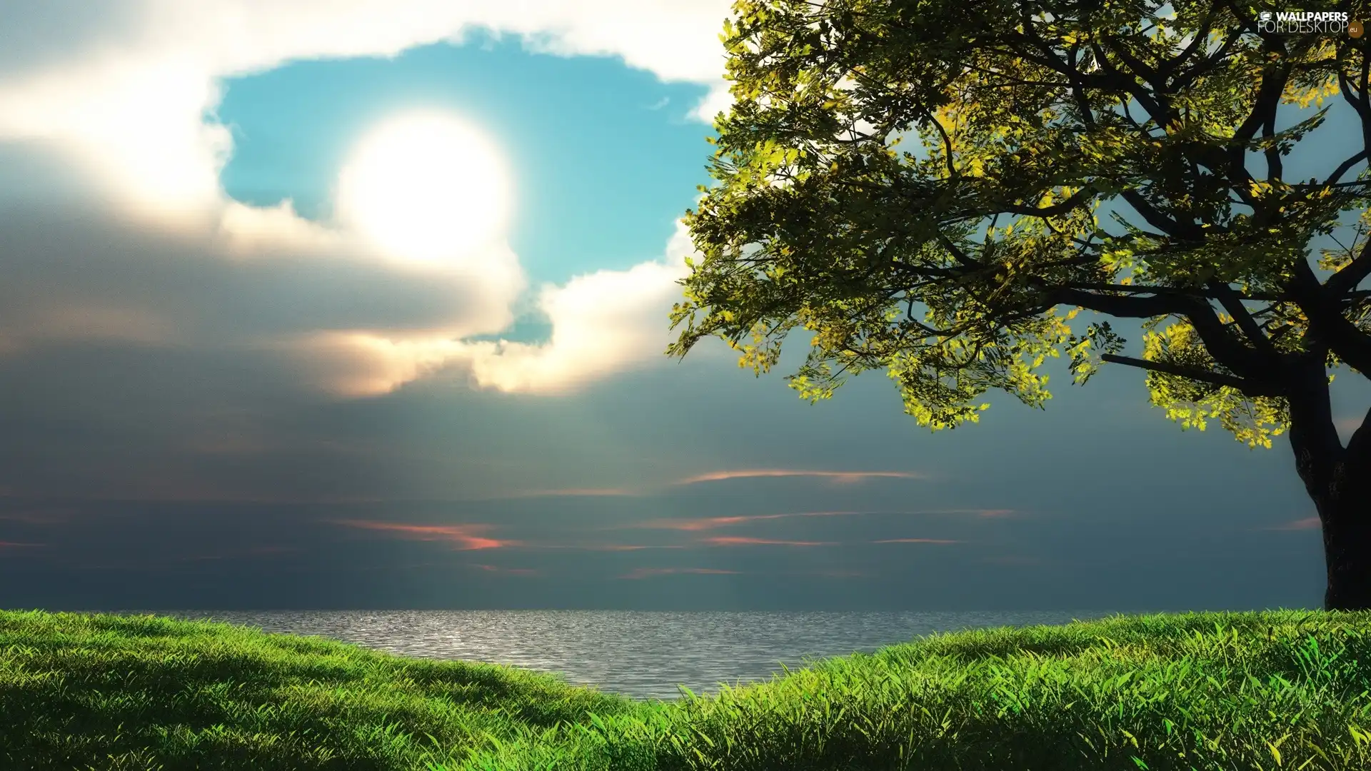 coast, Meadow, Sky, marine, Clouds