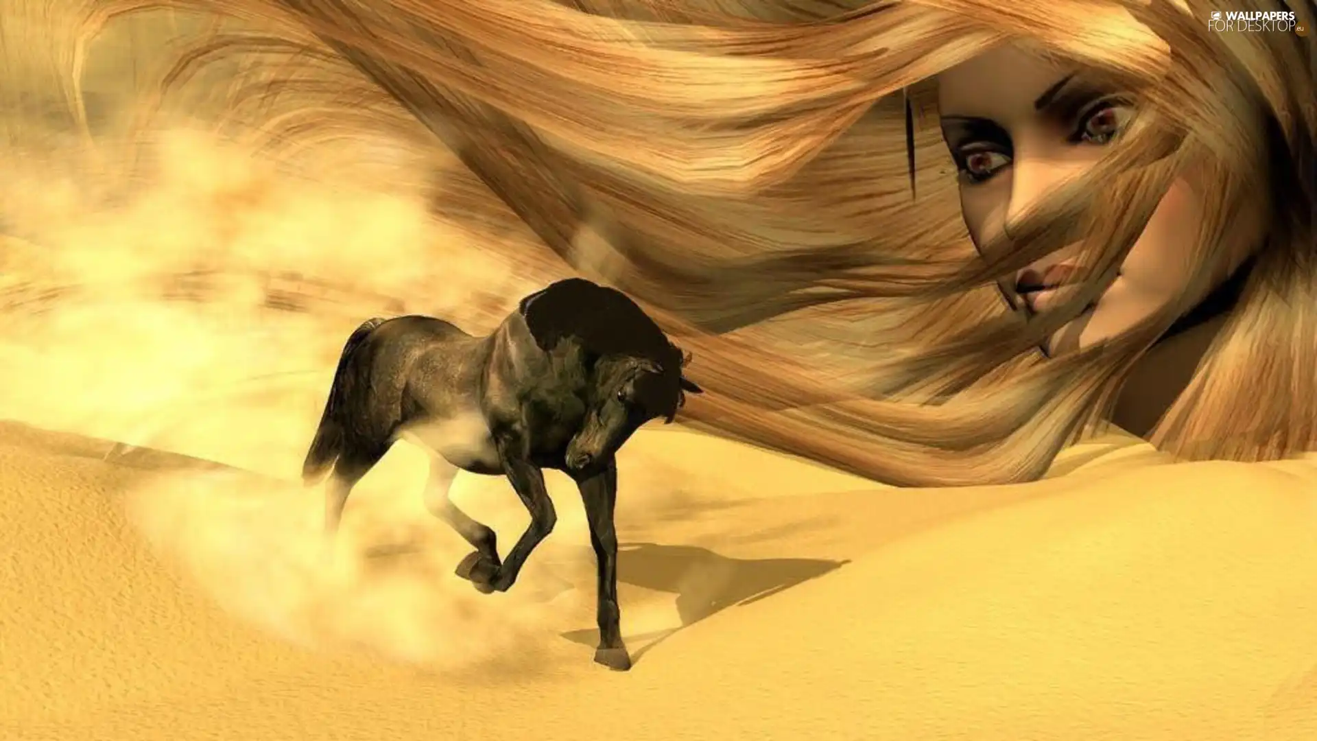 face, Horse, Desert, Womens