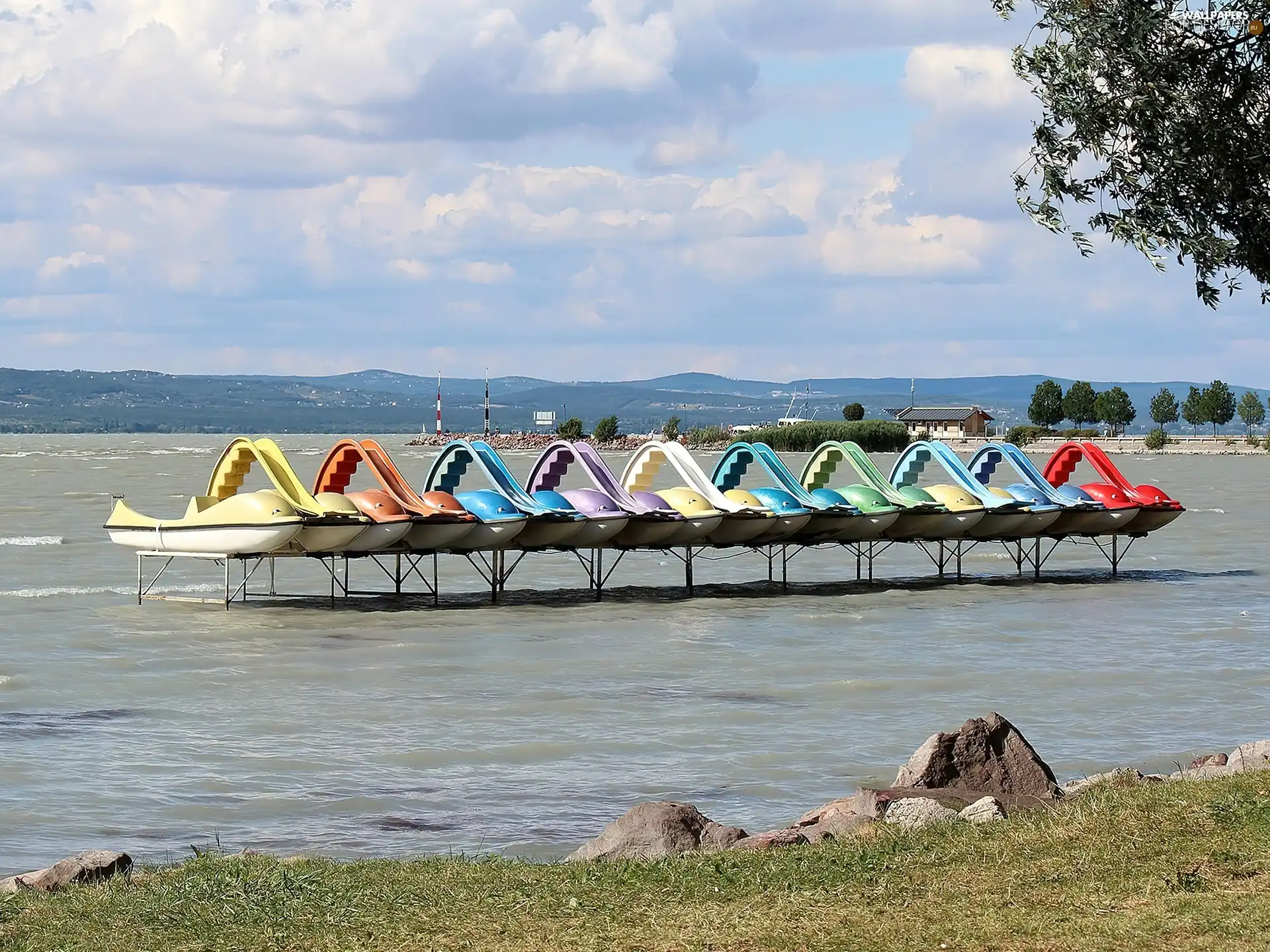 lake, color, dolphins, slides