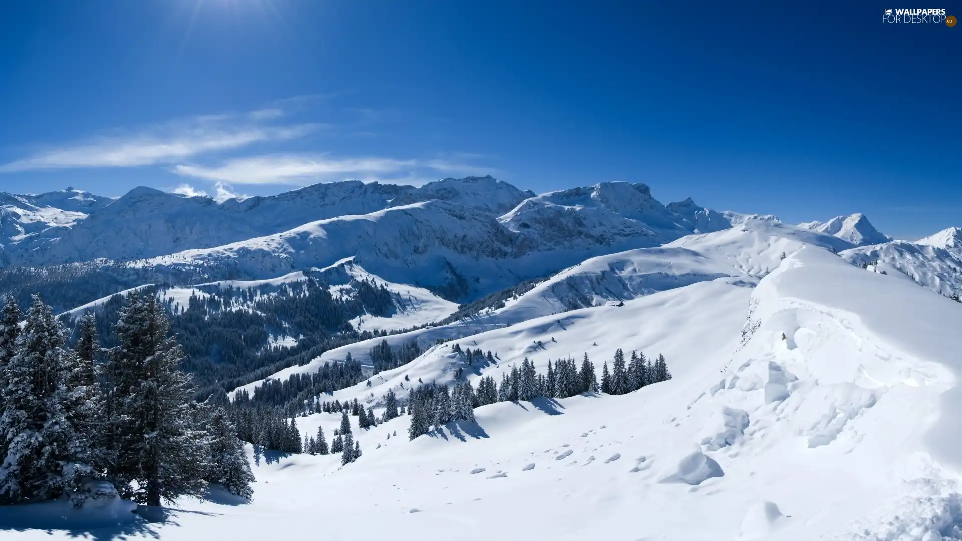 drifts, forest, height, snow, Mountains