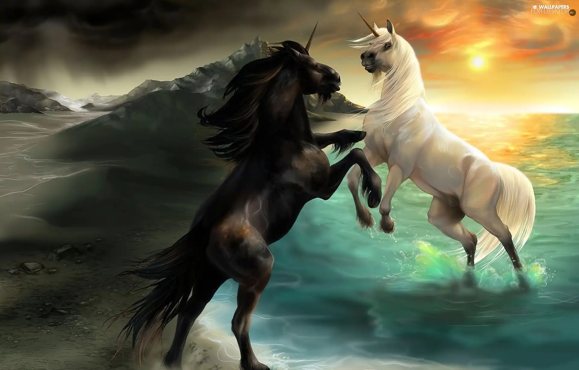 unicorns, Fight