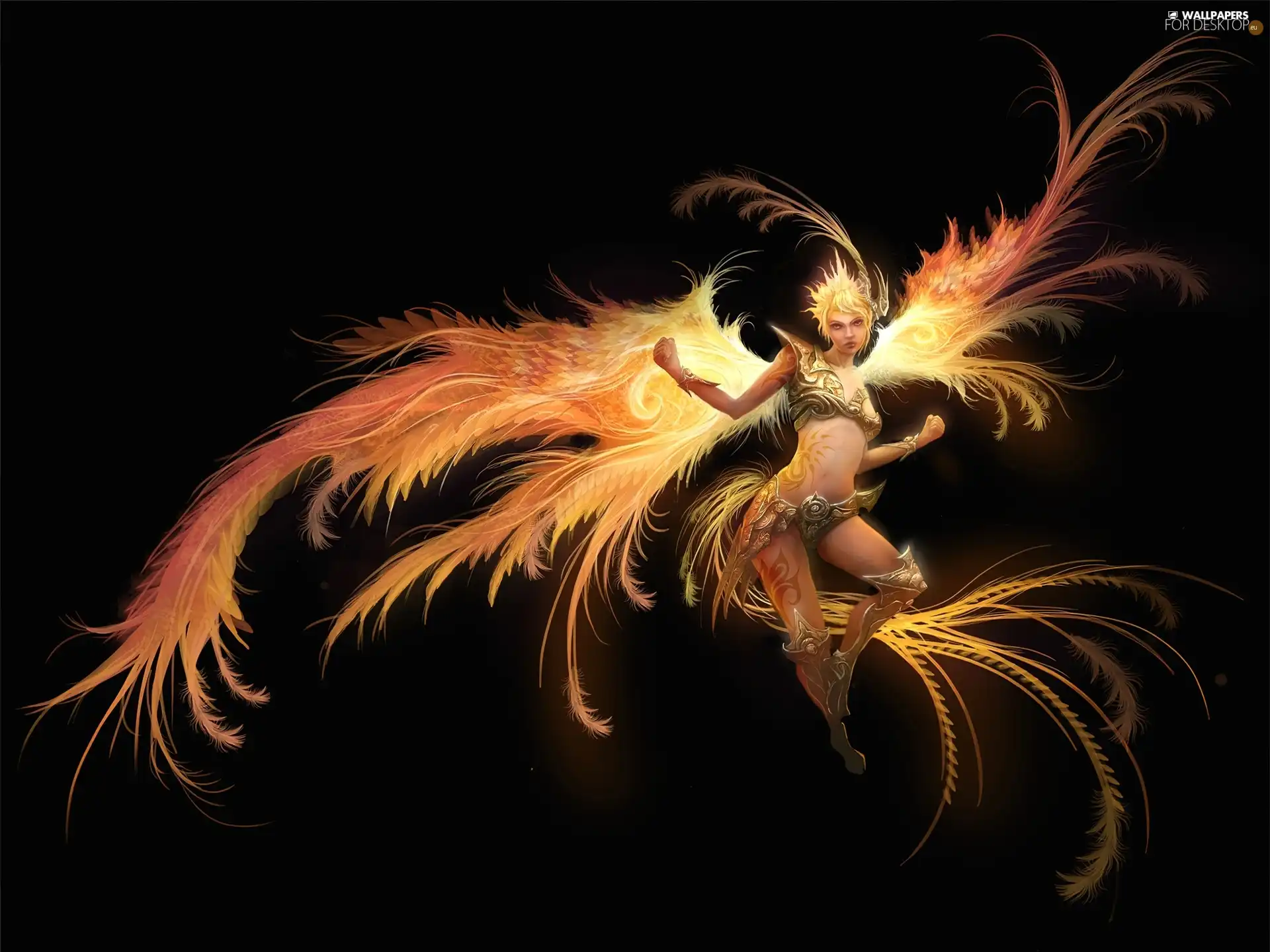 ##, fire, angel, feather, Women