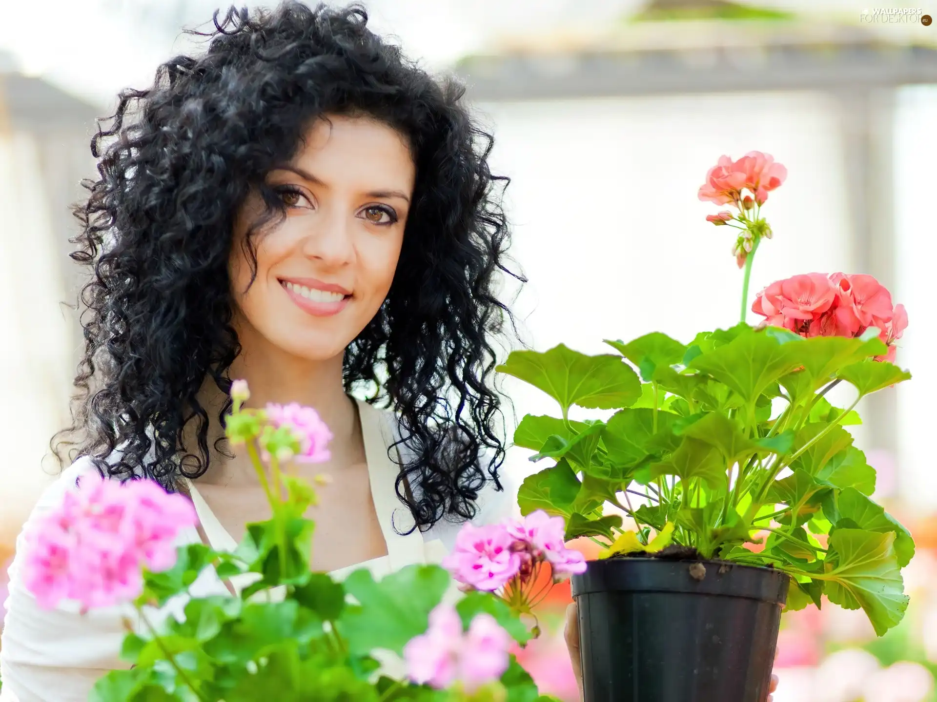 Flowers, Beauty, brunette