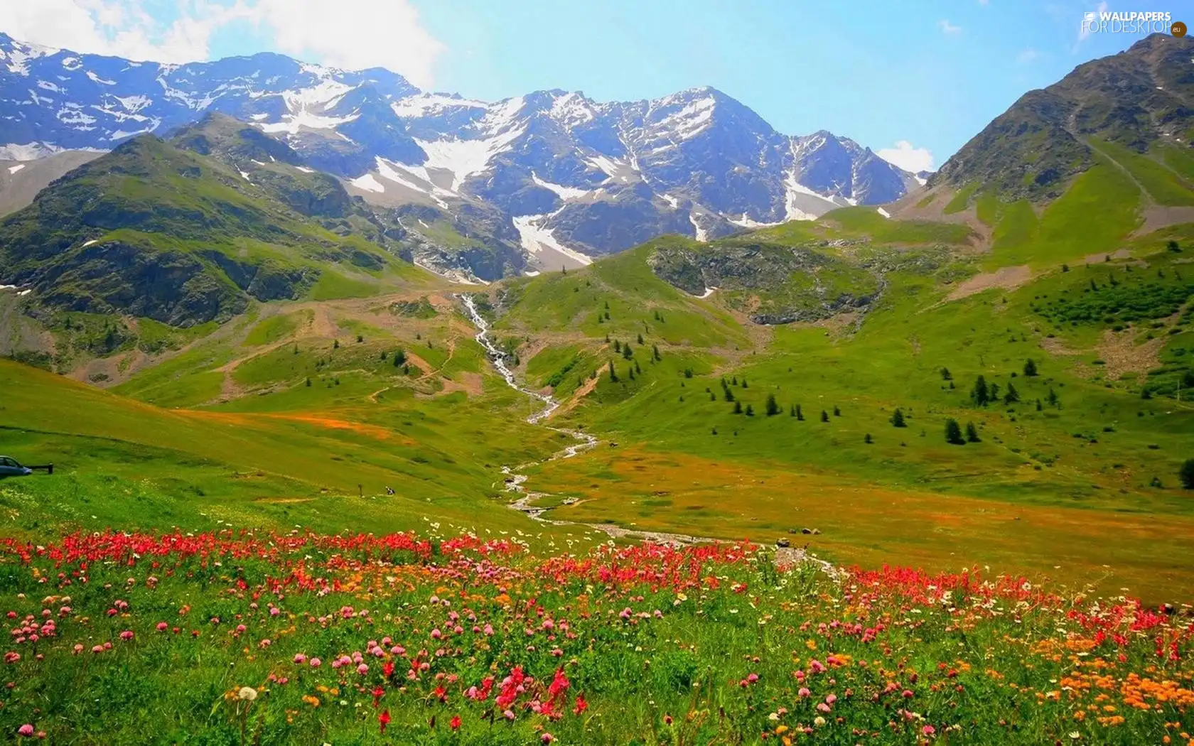 Mountains, medows, Flowers, brook