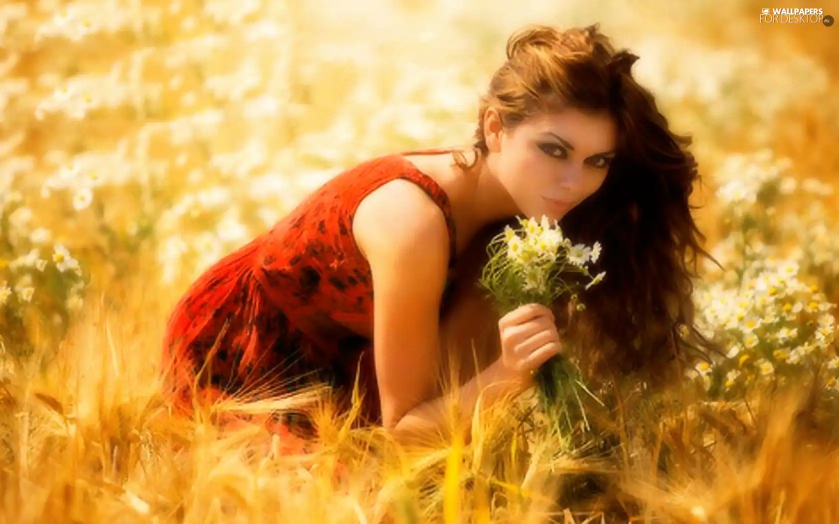 Women, dress, Flowers, red hot