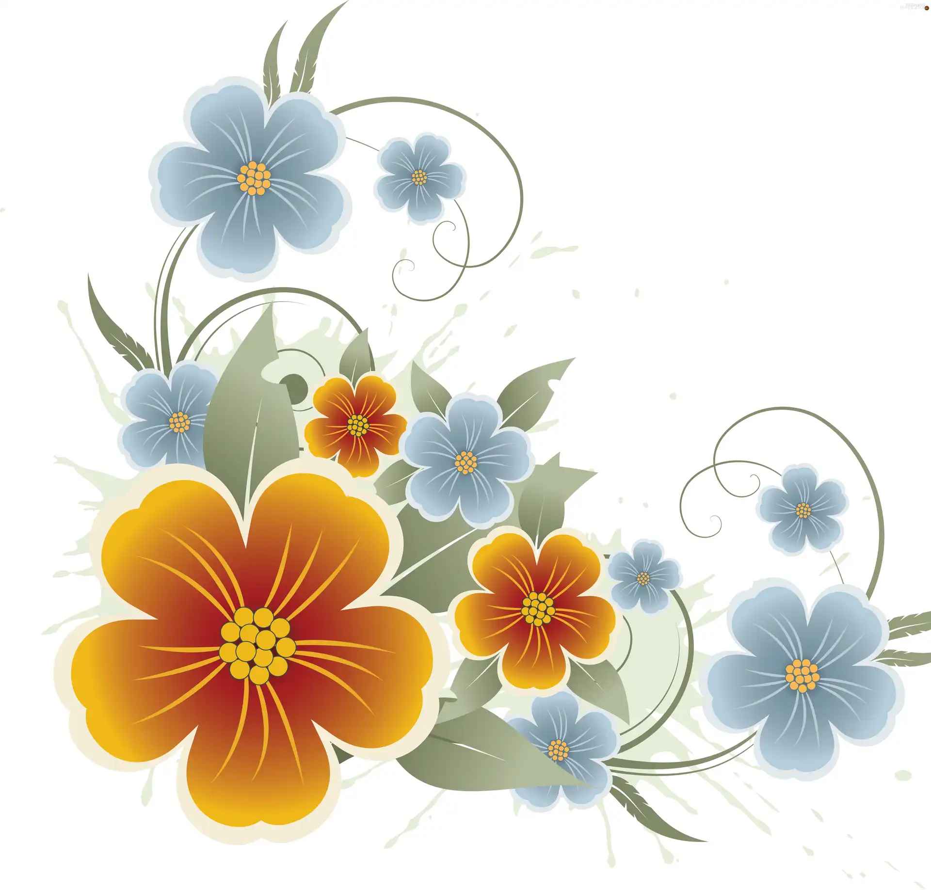 Flowers, Blue, Yellow