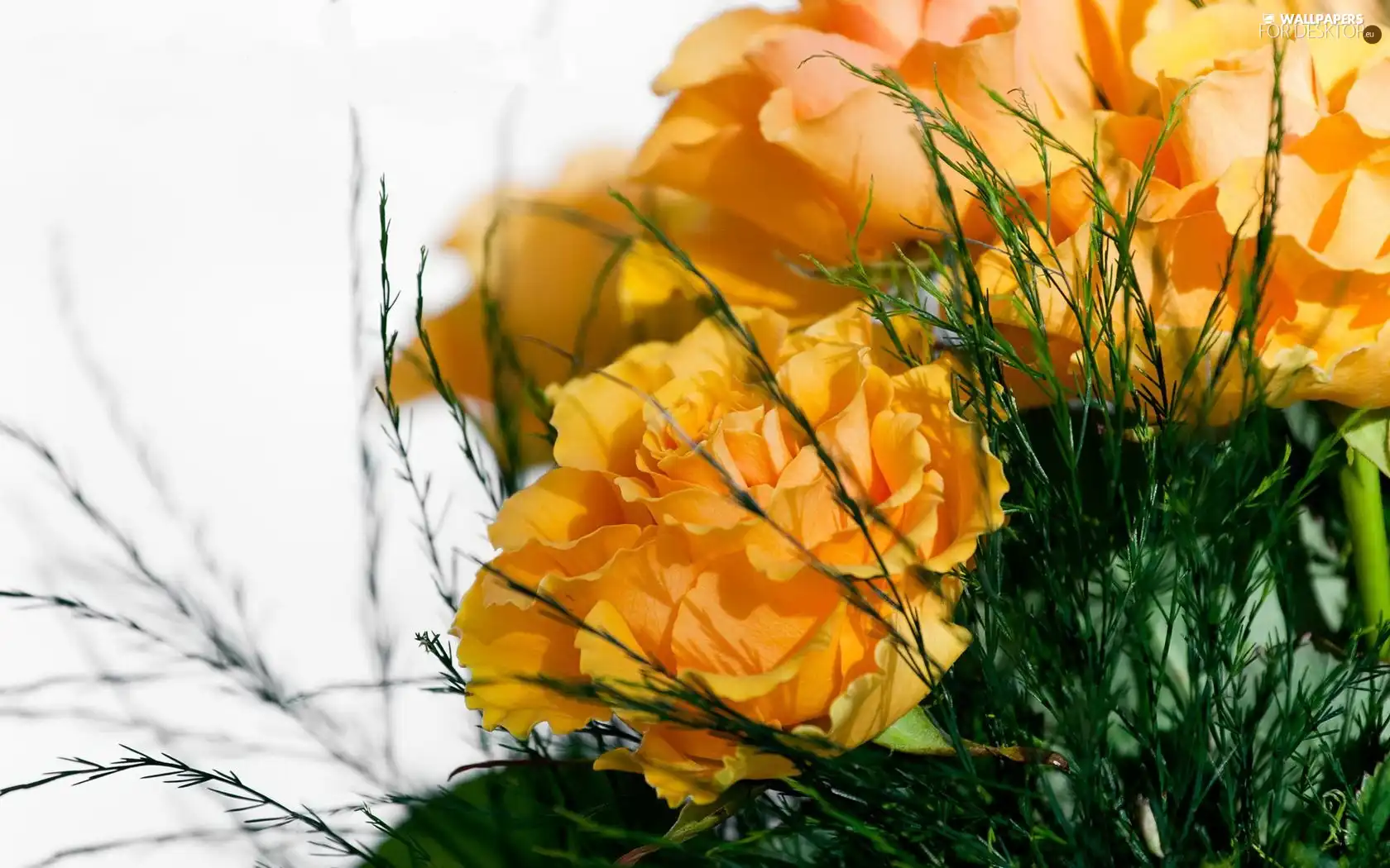 flowers, bouquet, yellow