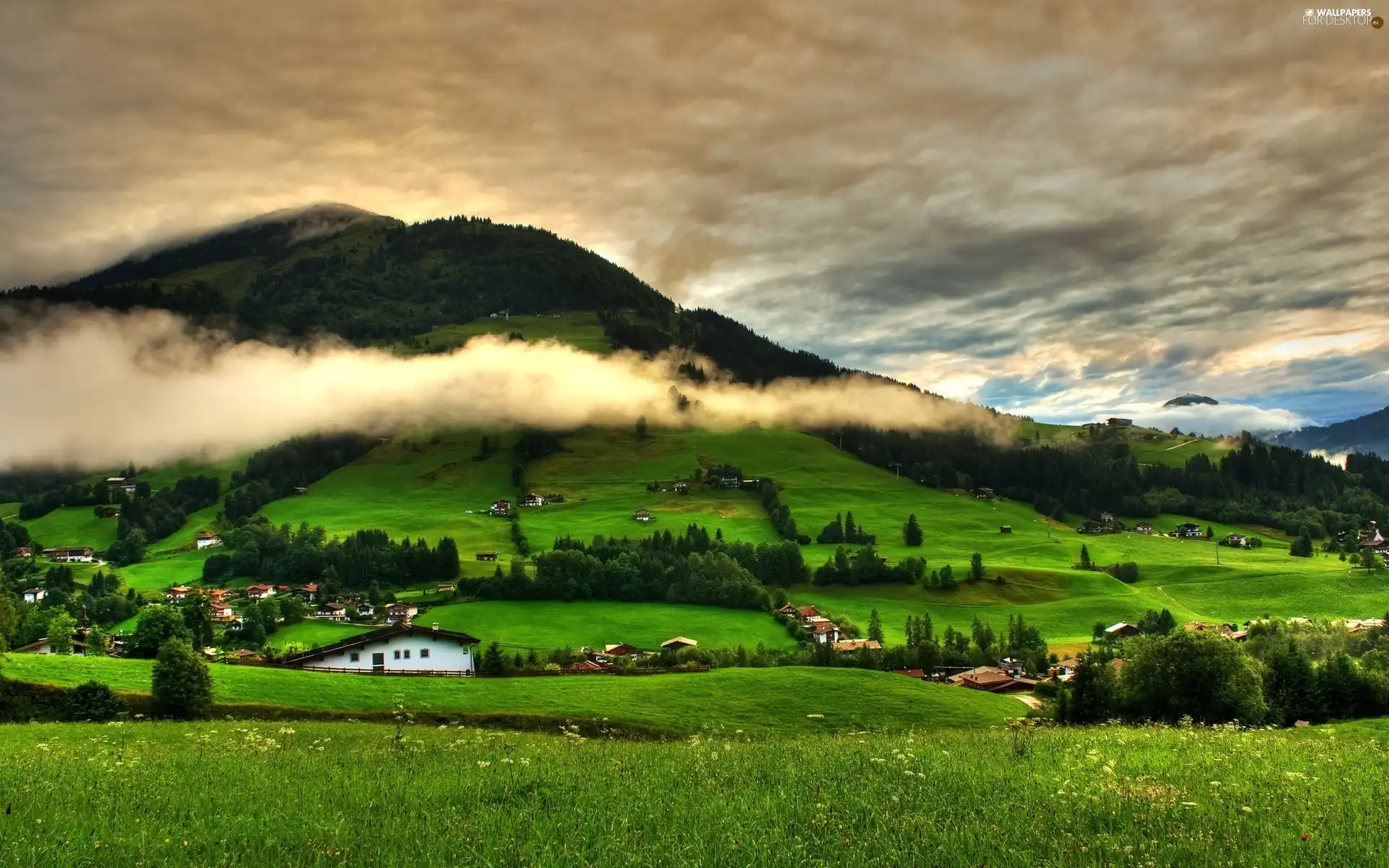 Fog, Farms, woods, medows, Mountains