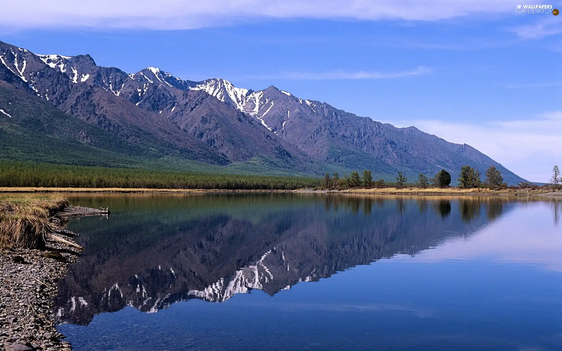 forest, Mountains, lake