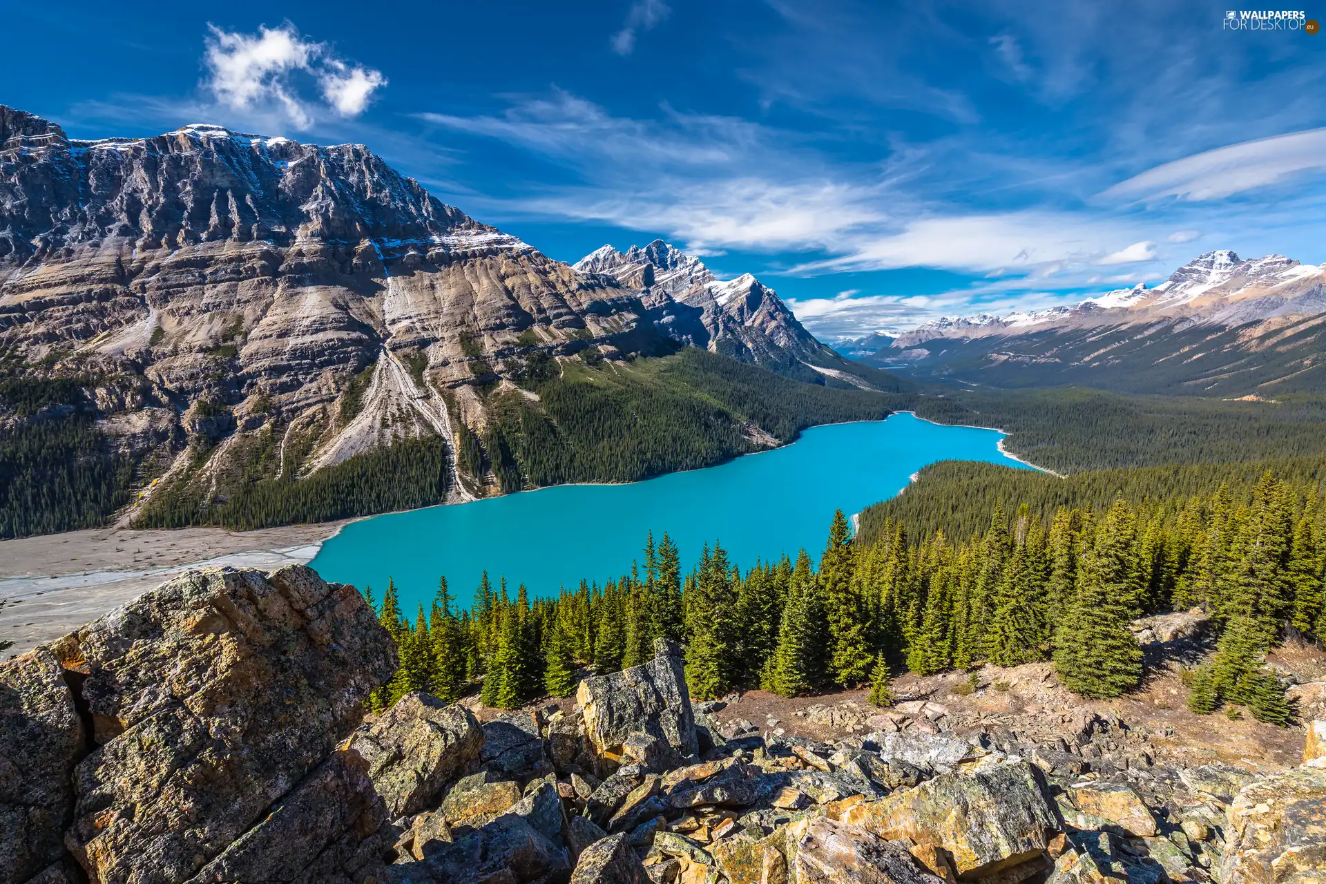 viewes, Peyto Lake, Mountains, Province of Alberta, forest, Banff ...