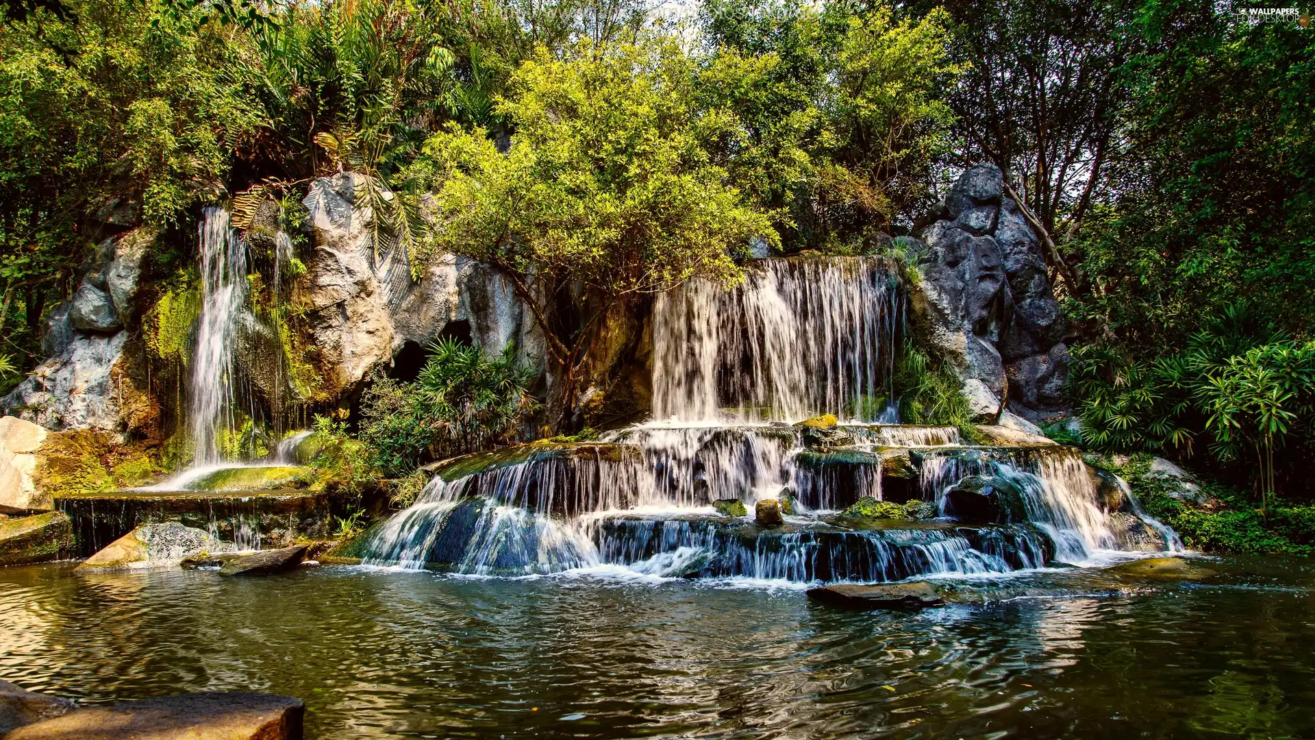 forest, waterfall, rocks