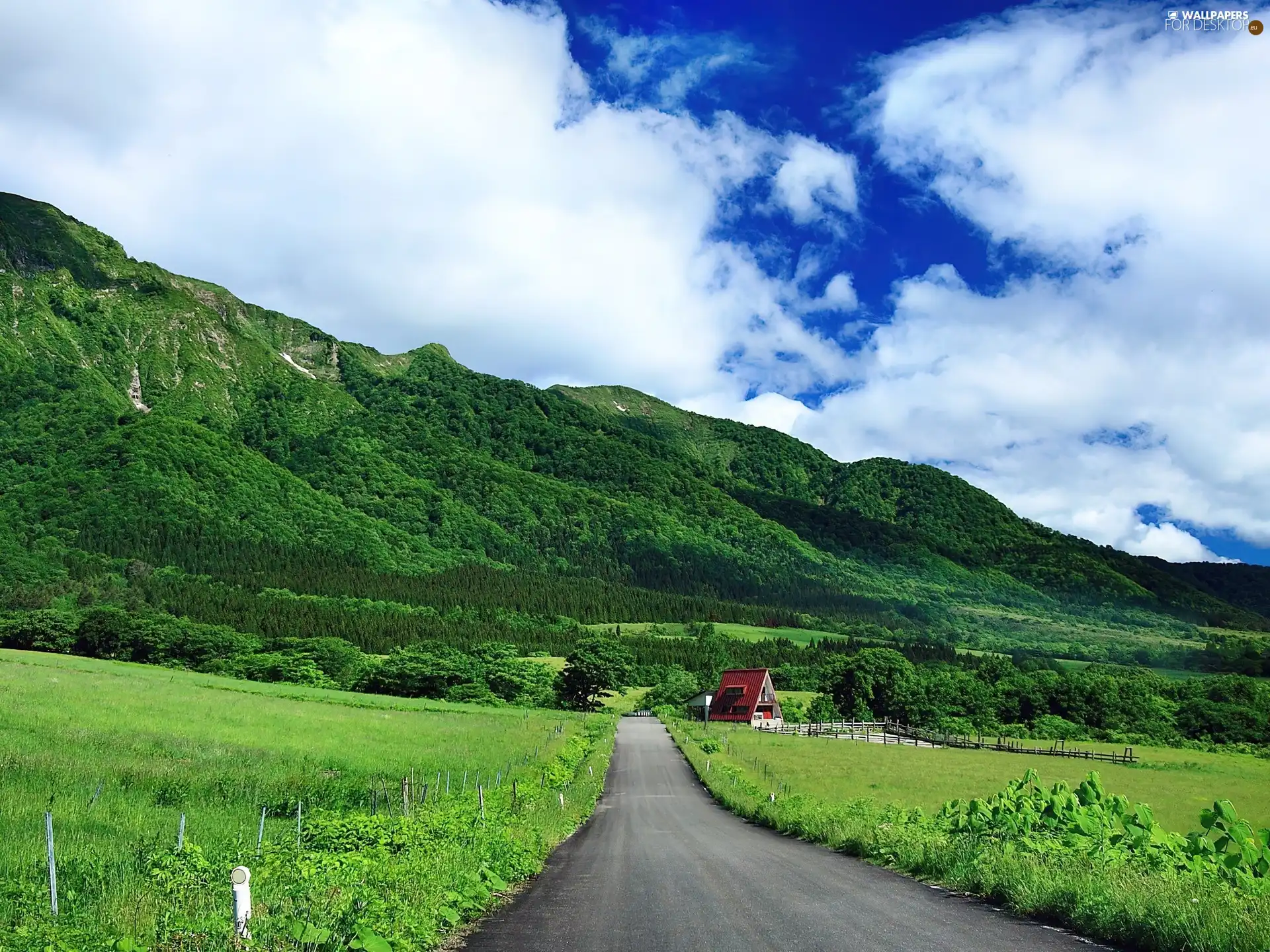 Way, Mountains, forest, Sky