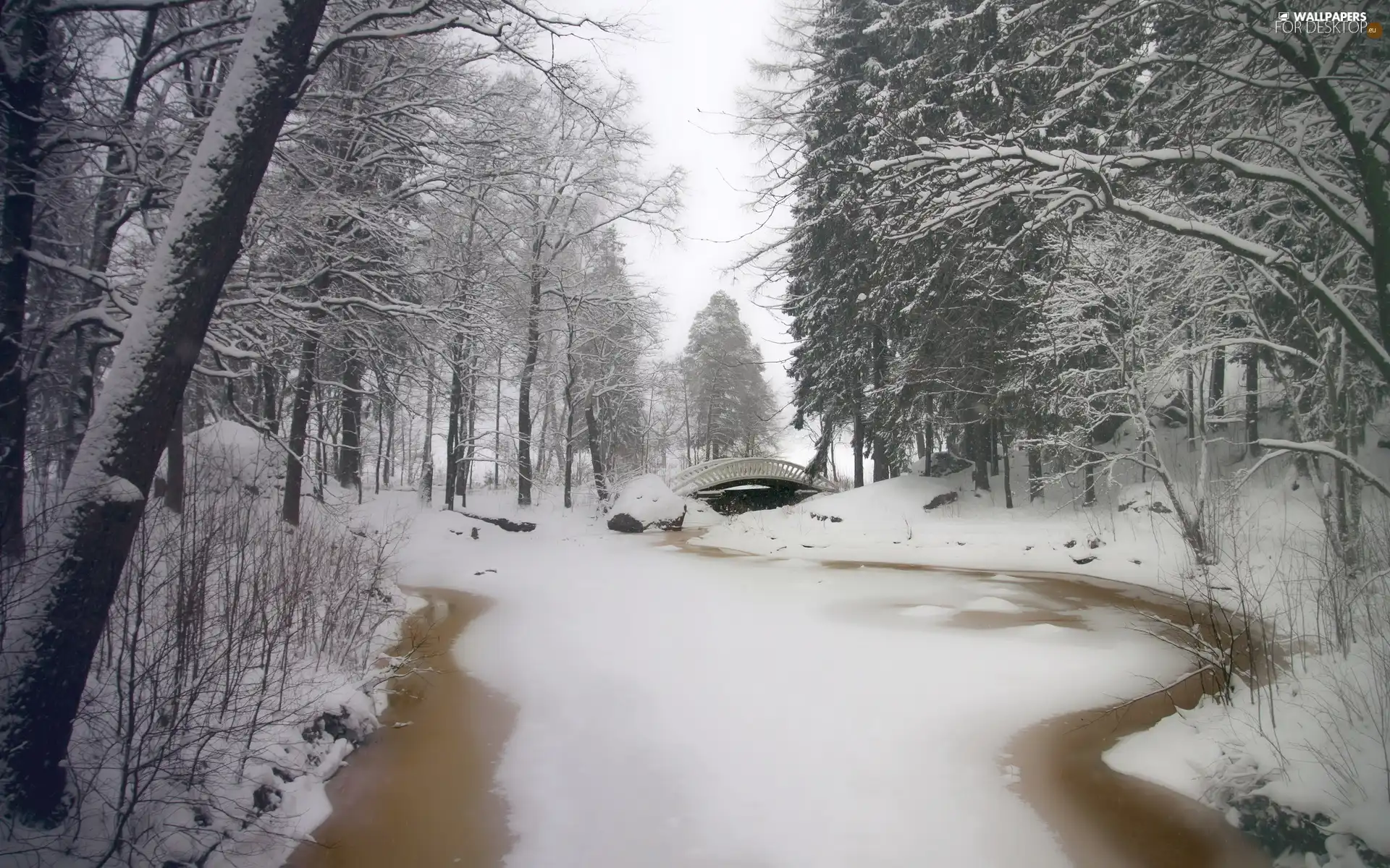 winter, bridge, forest, River