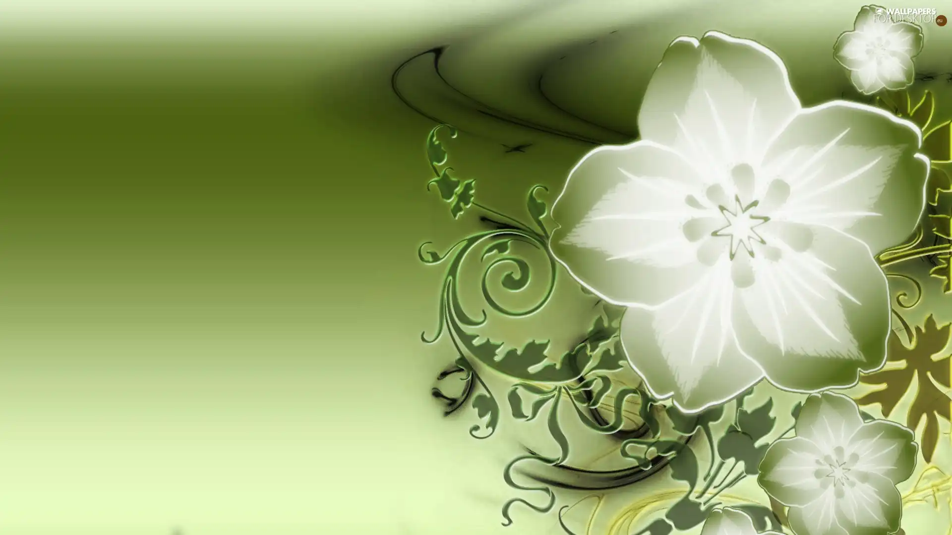 graphics, White, Flowers