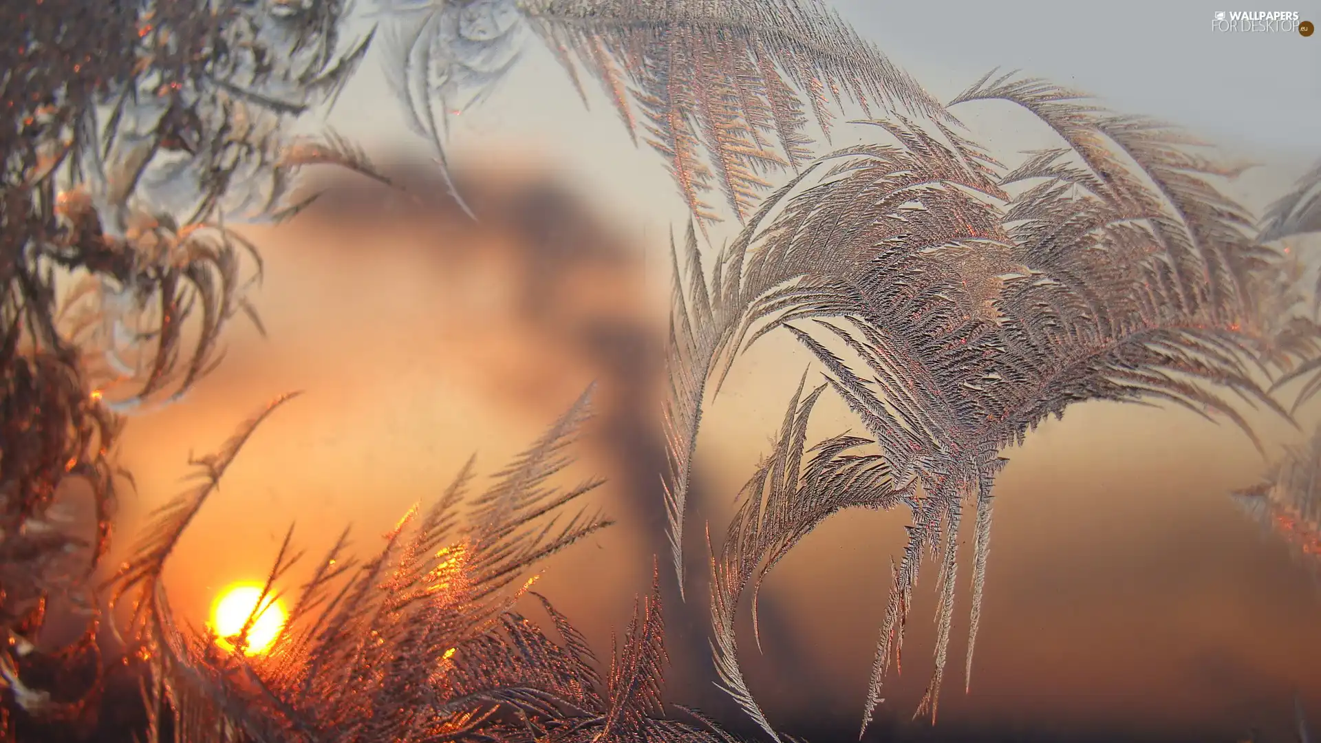 Frost, glass, Great Sunsets, an