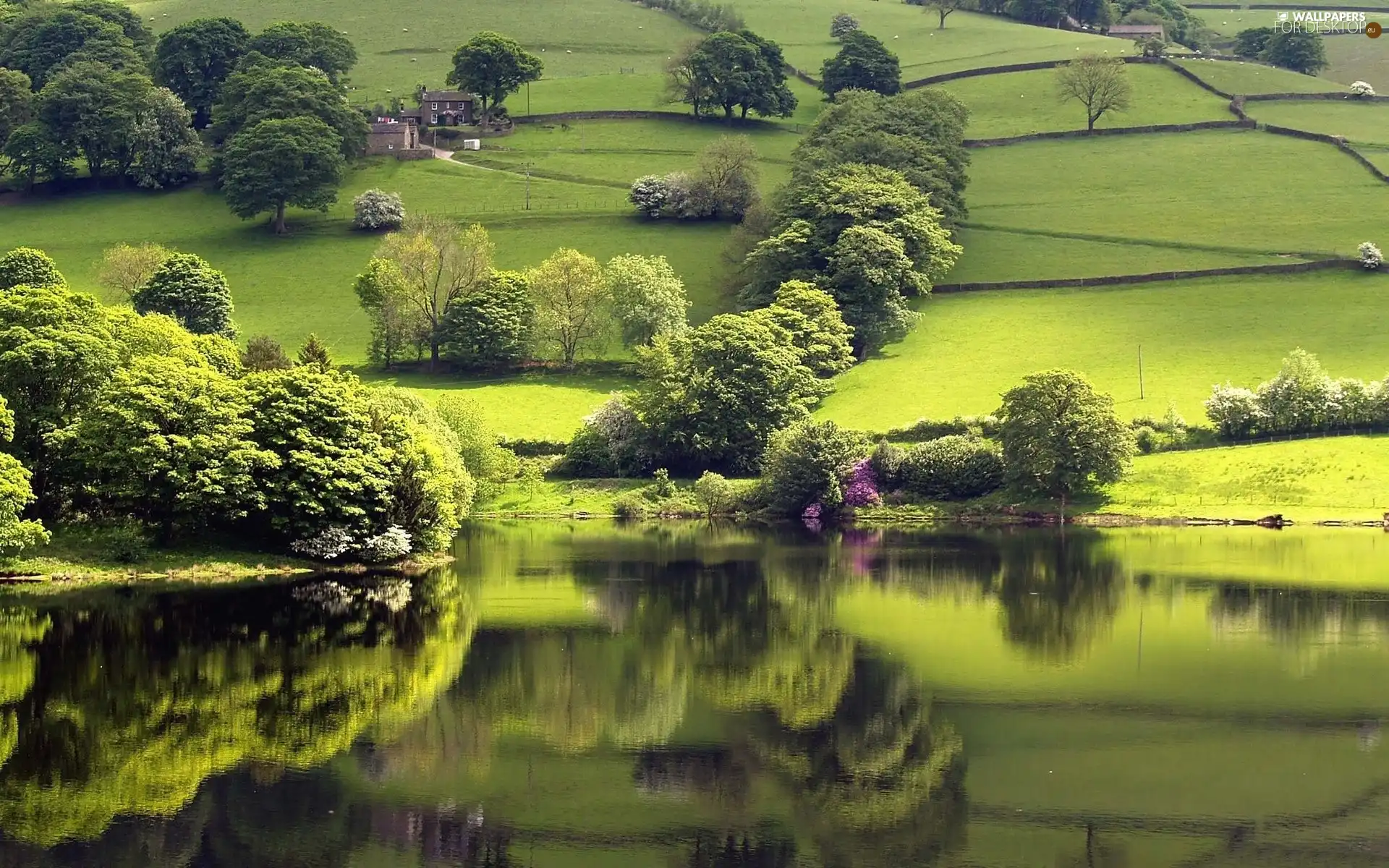 The Hills, lake, green ones