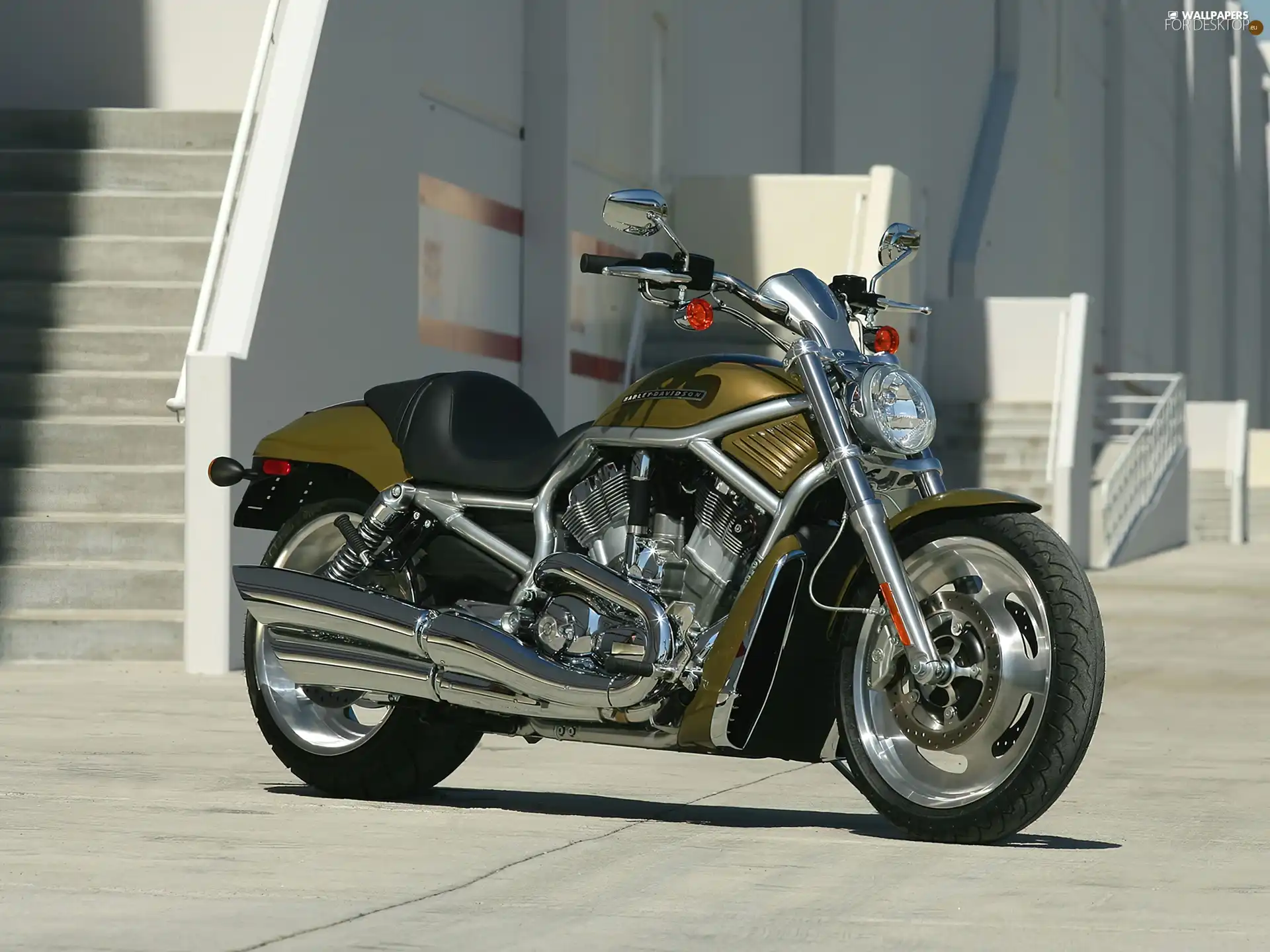 olive, Harley Davidson V-Rod