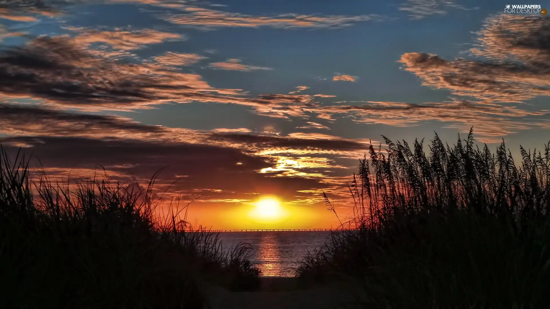 high, grass, west, sun, sea