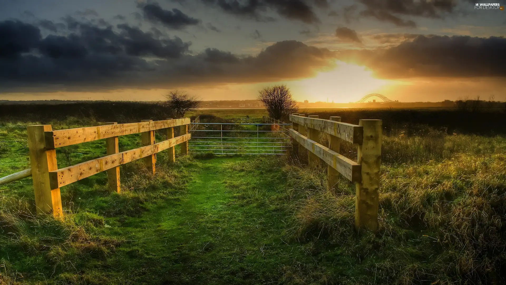 Meadow, hurdles