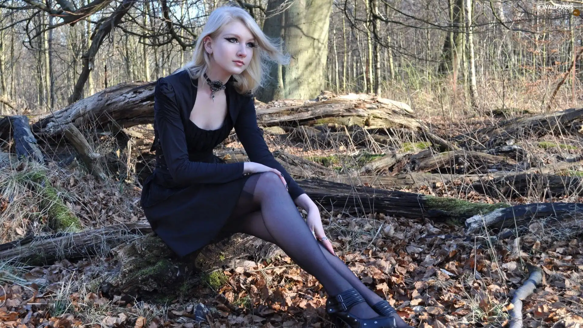 jewellery, Blonde, Leaf, autumn, forest, make-up