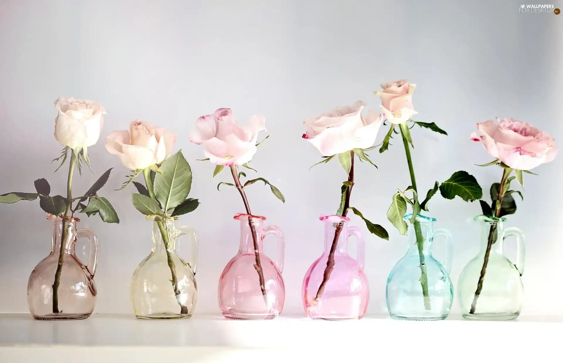 roses, Jugs