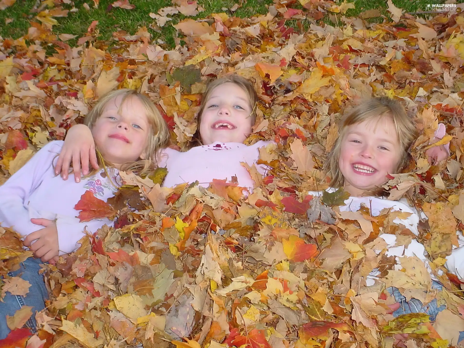 Leaf, Laugh, girls, autumn, Three