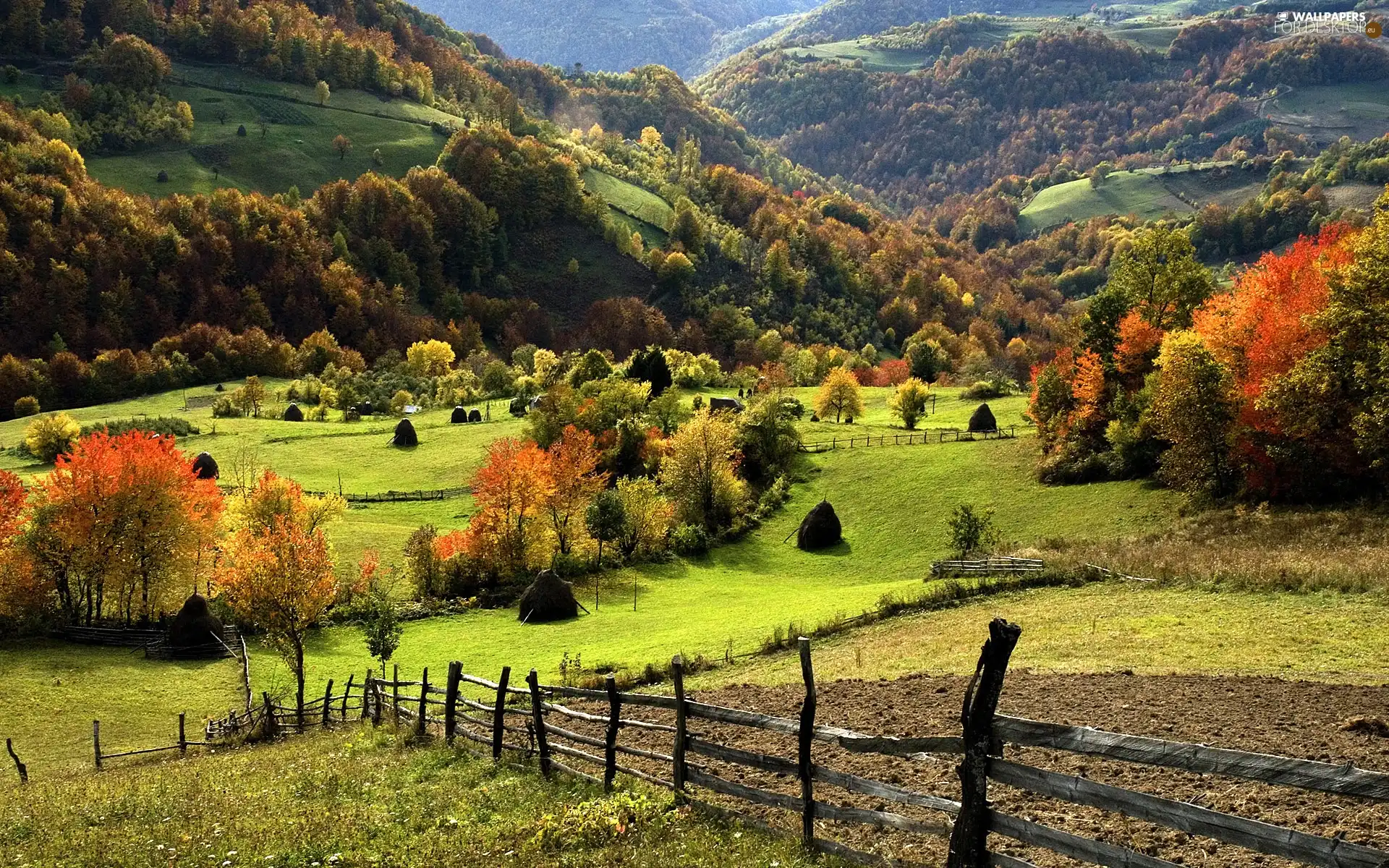 medows, autumn, woods, field, Mountains