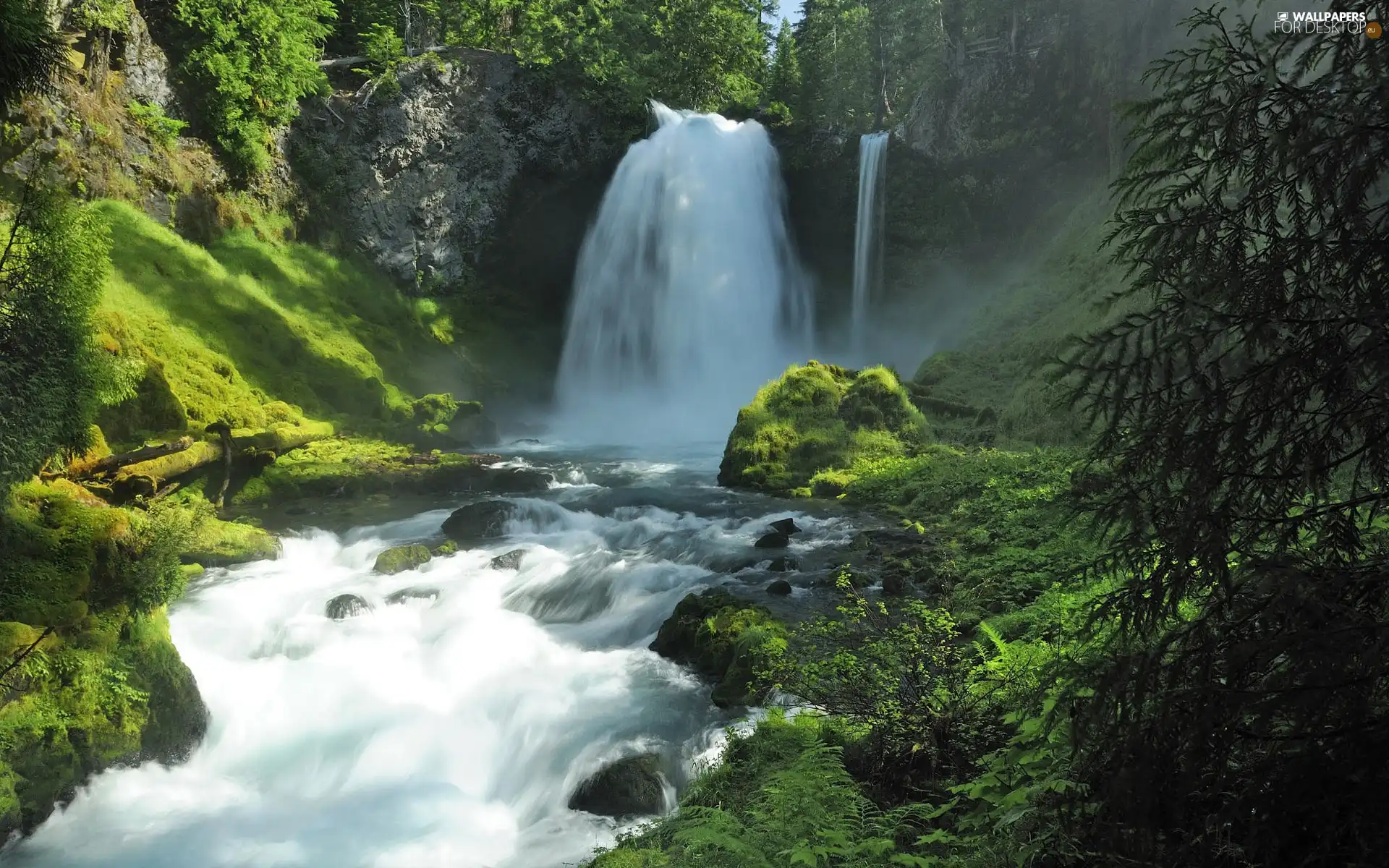 Moss, waterfall, rocks