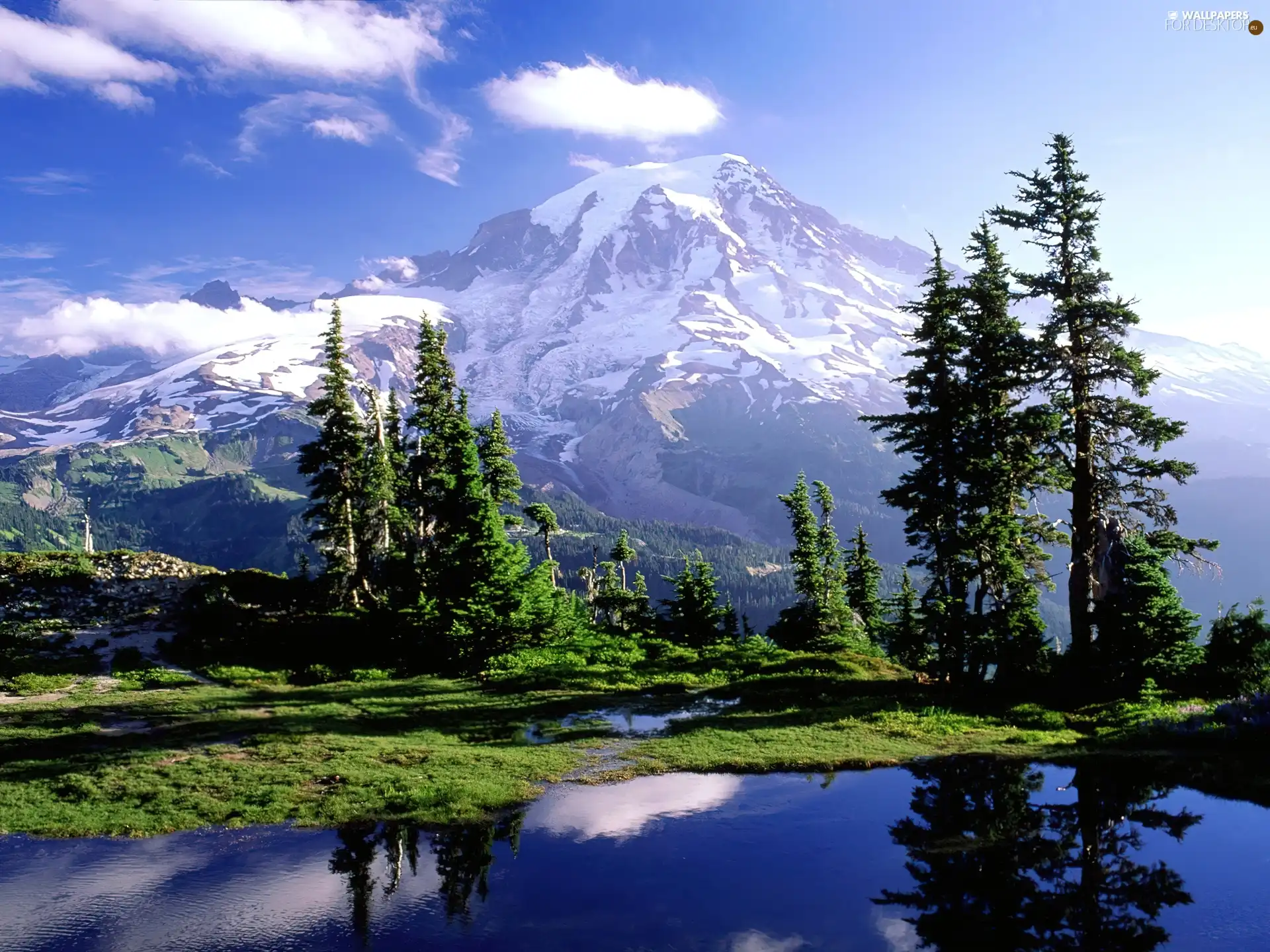 snow, peaks, lake, mountain, Snowy, Mountains, Spruces