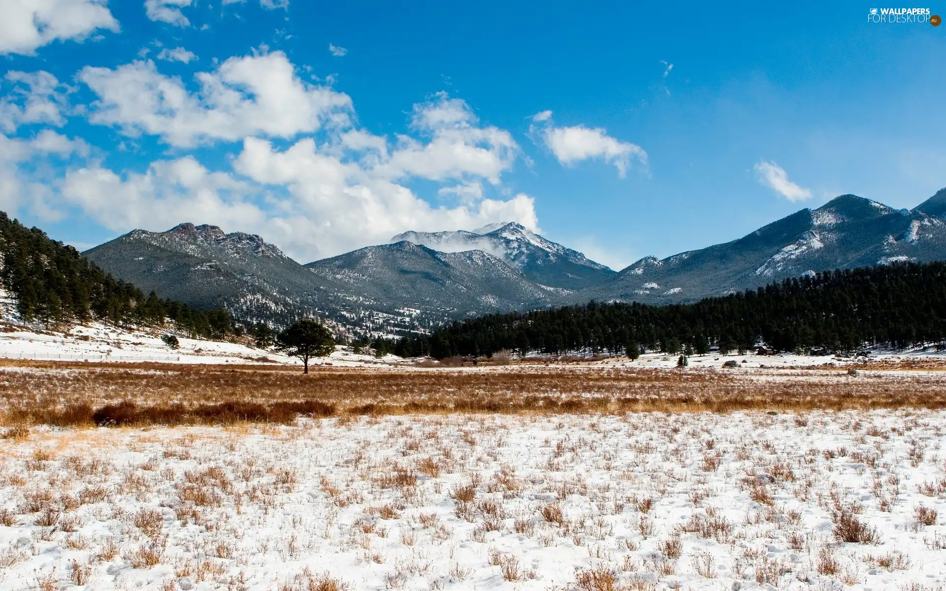 Mountains, plain, trees